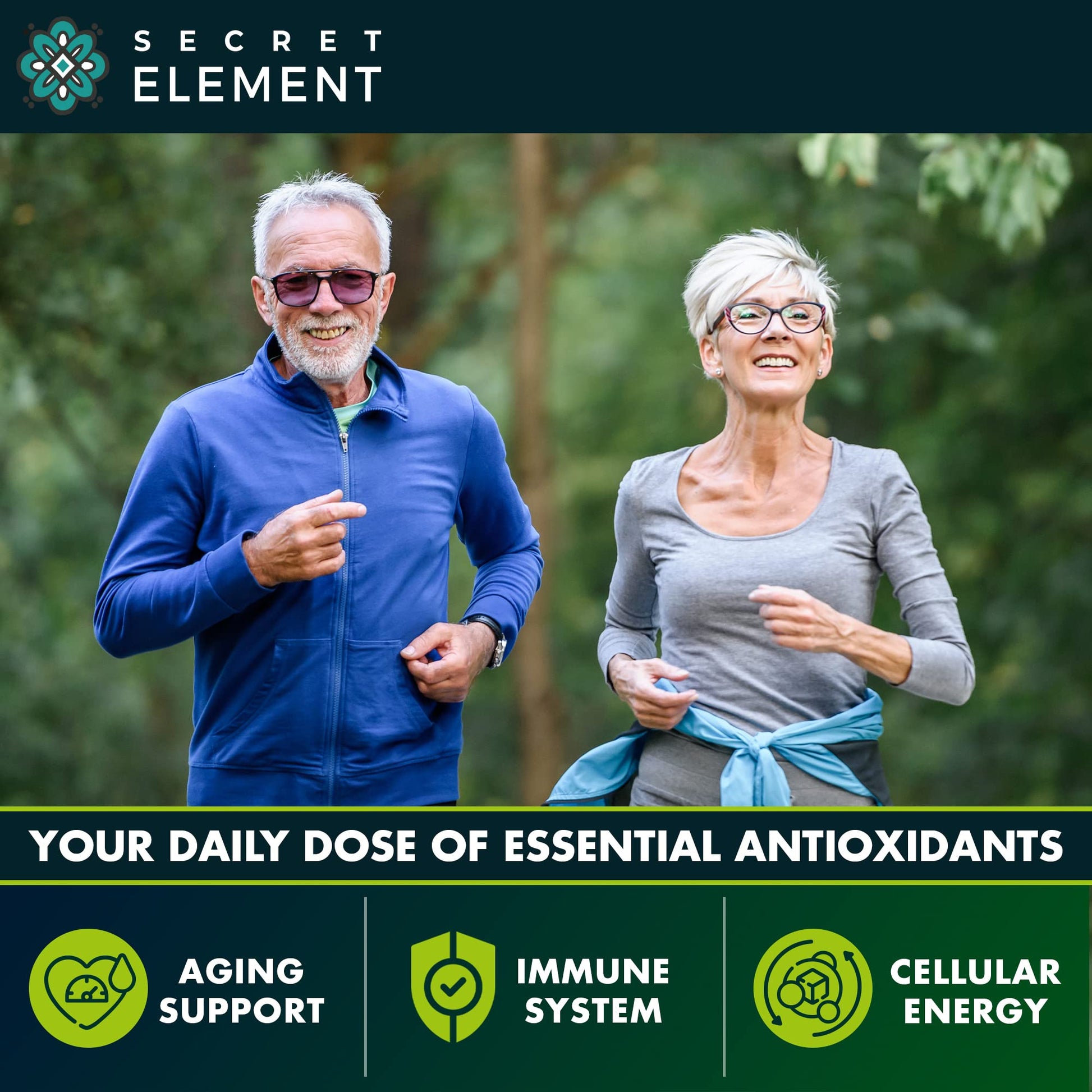 (2 PACK) Citrus Bergamot Extract 1000mg - Citrus Bergamot Supplement for Circulatory Health, Immunity, and Graceful Aging - 2x the potency of Citrus Bergamot 500mg - PrimeBioHealth - canada supplements