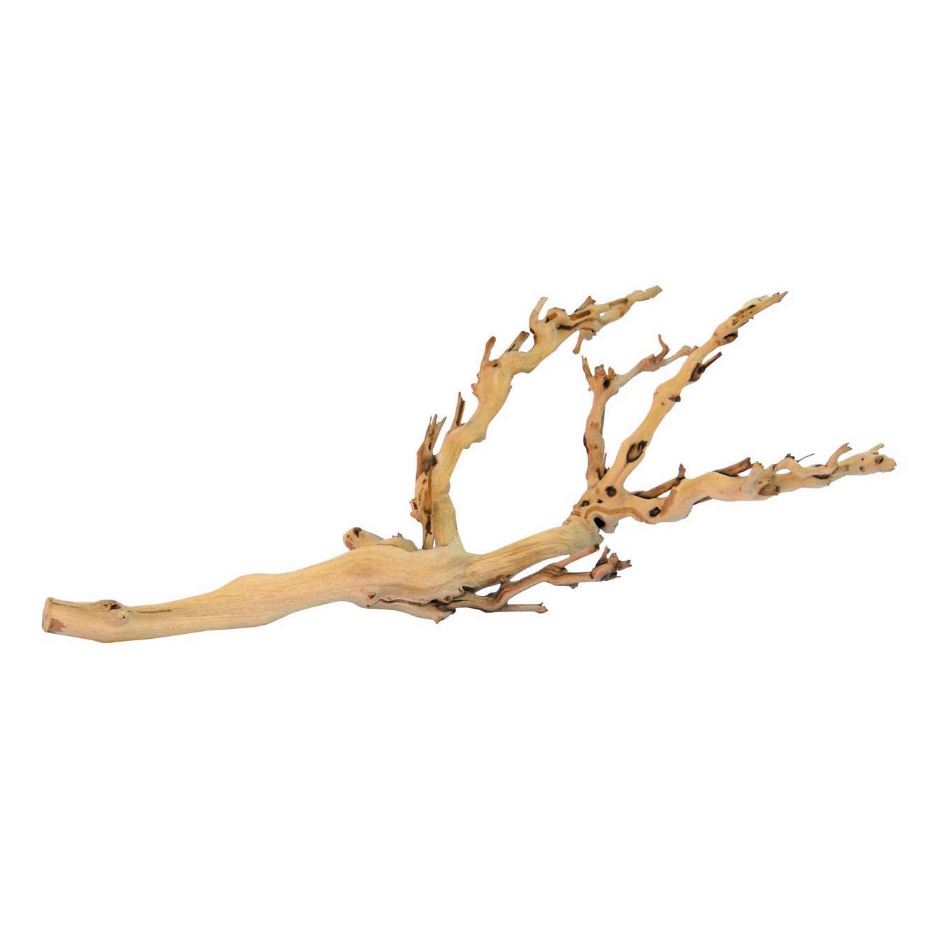 Exo Terra Forest Branch Small - Natural Wood Terrarium Decoration | For Reptiles, Amphibians & Small Pets