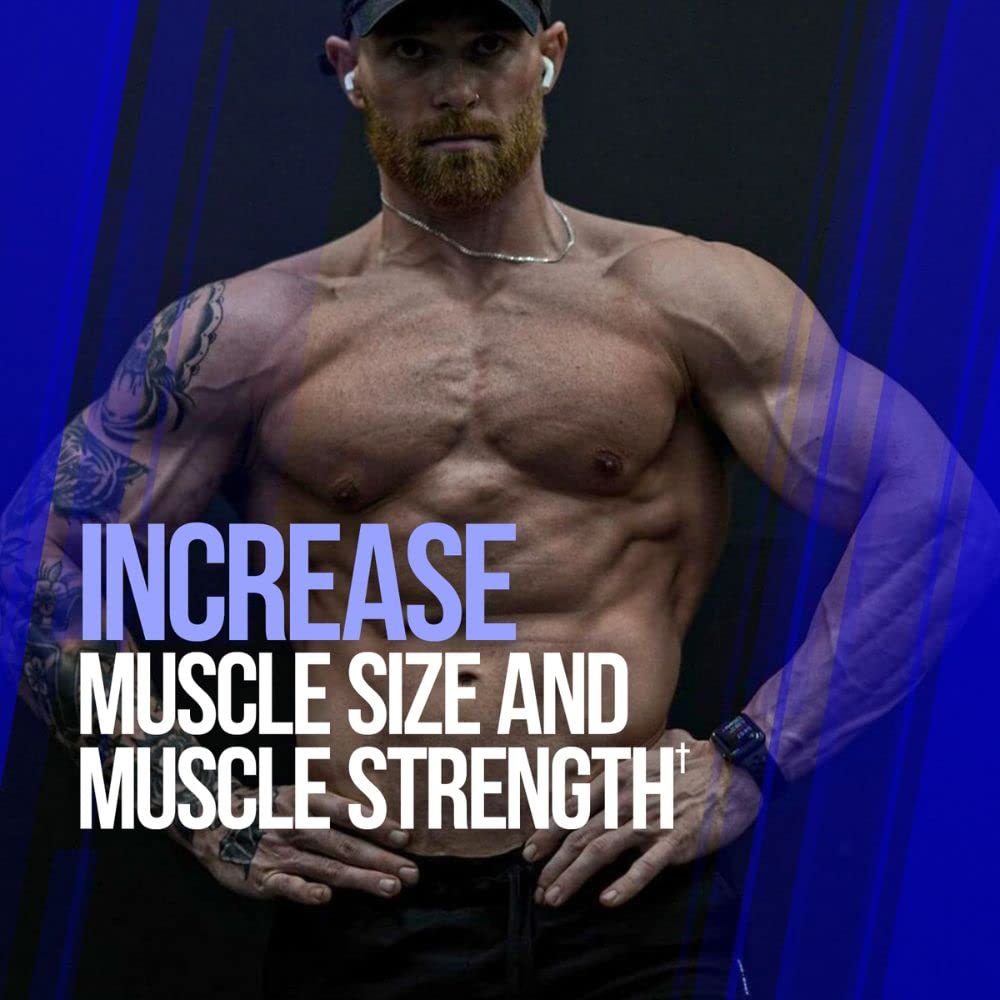 ALPHA LION Gains Candy, Supplement Pills that Support Weight Loss, Appetite Suppressant, Keto-Diet Friendly, Decrease Body Fat, Upgrade Energy & Workout Performance, 60 Capsules (MitoBurn®)