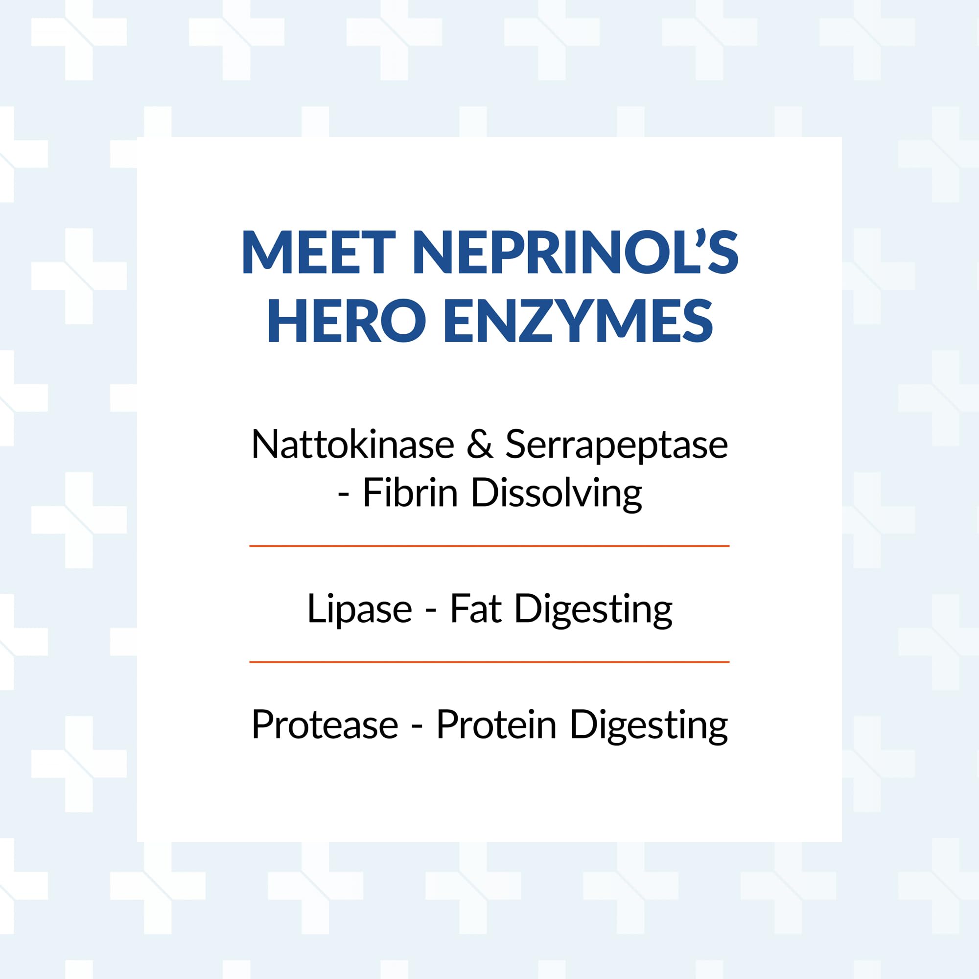 Arthur Andrew Medical, Neprinol AFD, Multi Enzyme Blend with Serrapeptase & Nattokinase, 90 Count (Pack of 1) | Highly Potent Systemic Enzyme Blend Featuring Nattokinase (15,000 FU) & Serrapeptase (45,000 SPU). Heart & Immune Support