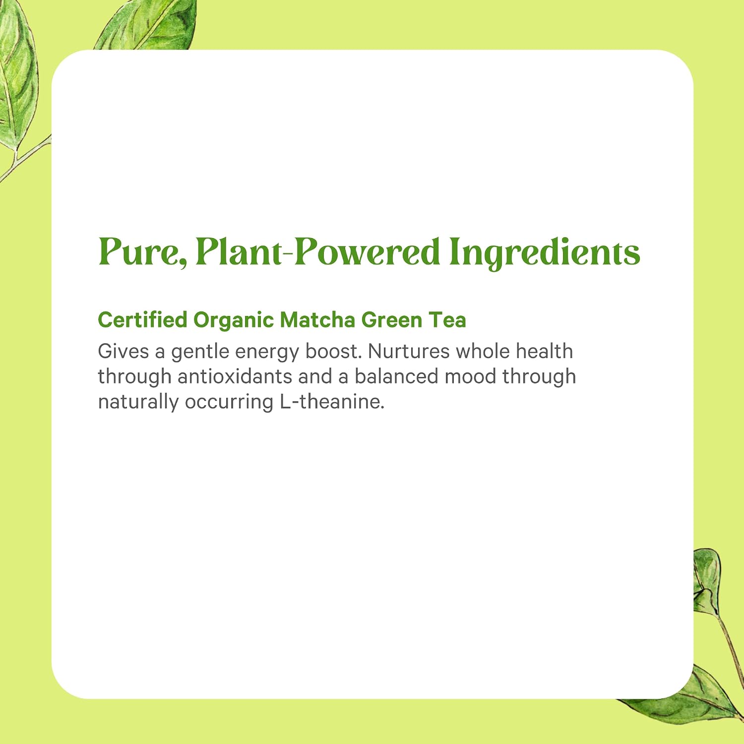 PURE SYNERGY Matcha Power | Organic Matcha Green Tea Capsules | Ceremonial Grade Supplement with EGCG | for Enhanced Energy & Alertness (90 Capsules)