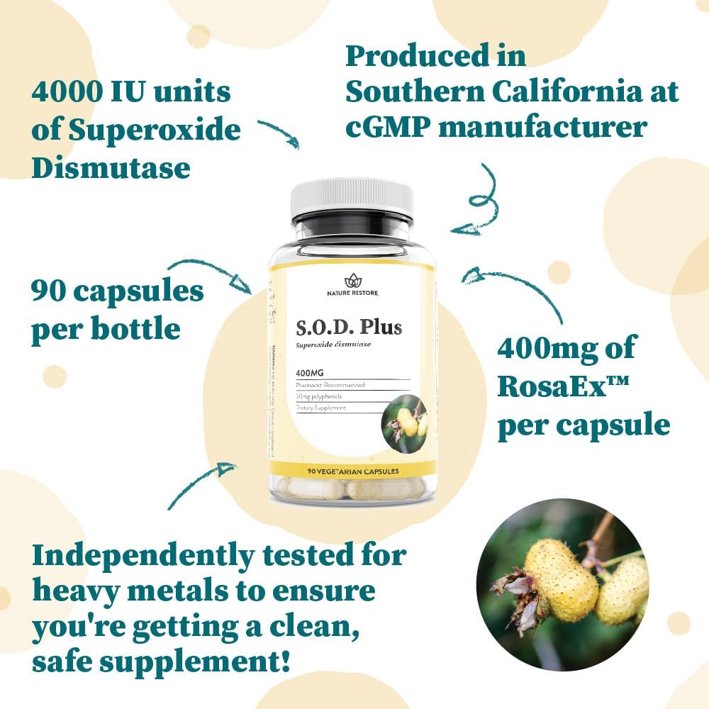 Superoxide Dismutase (SOD) Supplement Capsules. High SOD-Like Activity Enzyme for Cellular Aging & Longevity. 100% Vegan. Primary Master Antioxidant for Mitochondrial Support & Internal Skin Radiance