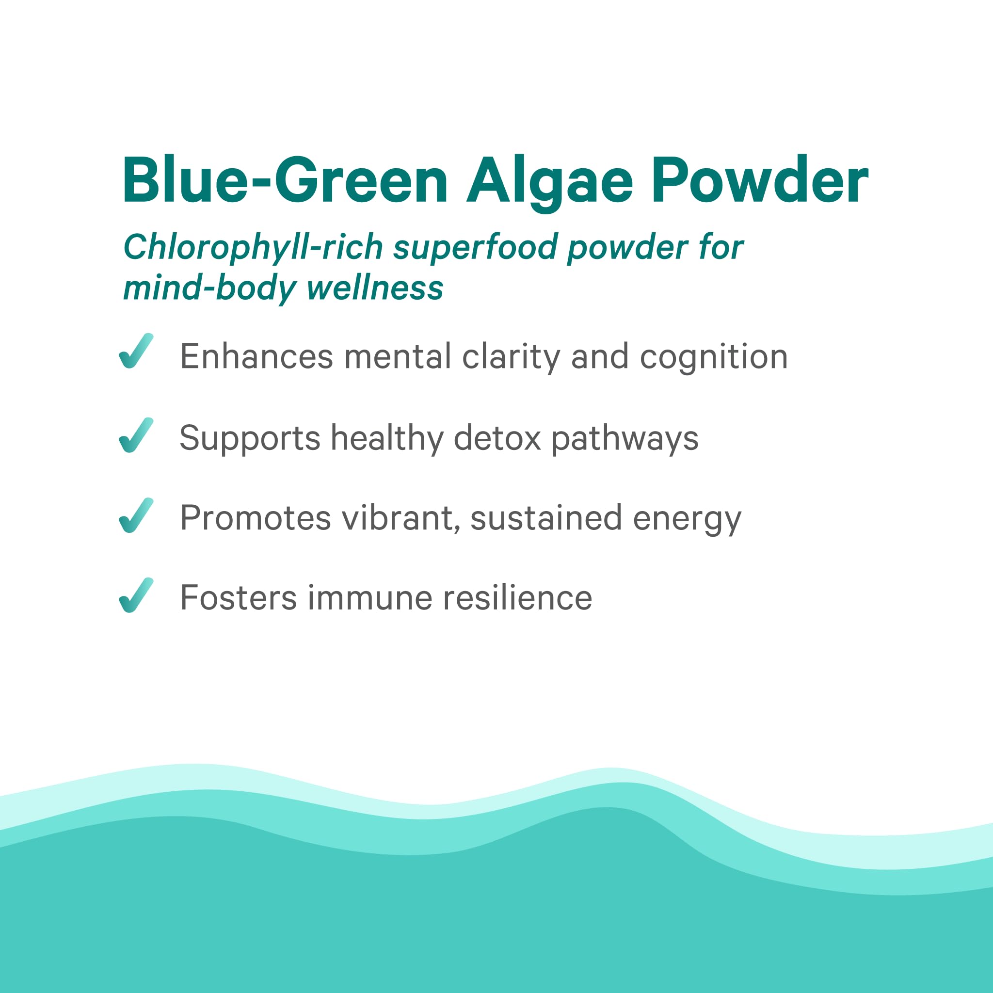 PURE SYNERGY Blue-Green Algae Powder | Superfood Powder with Chlorophyll | Organic AFA Blue Green Algae Supplement | Supports Energy, Mental Clarity, and Detoxification (3.2 oz.) PURE SYNERGYBuy Supplements Australia