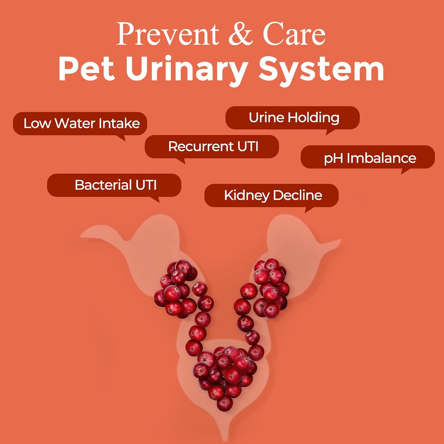 NATURE TARGET Dog UTI Treatment, Cranberry Supplement for Dogs 120 Chews | Urinary Tract & Bladder Support with D-Mannose, Marshmallow, Astragalus – Vet Formulated Immune & Kidney Support – Chicken