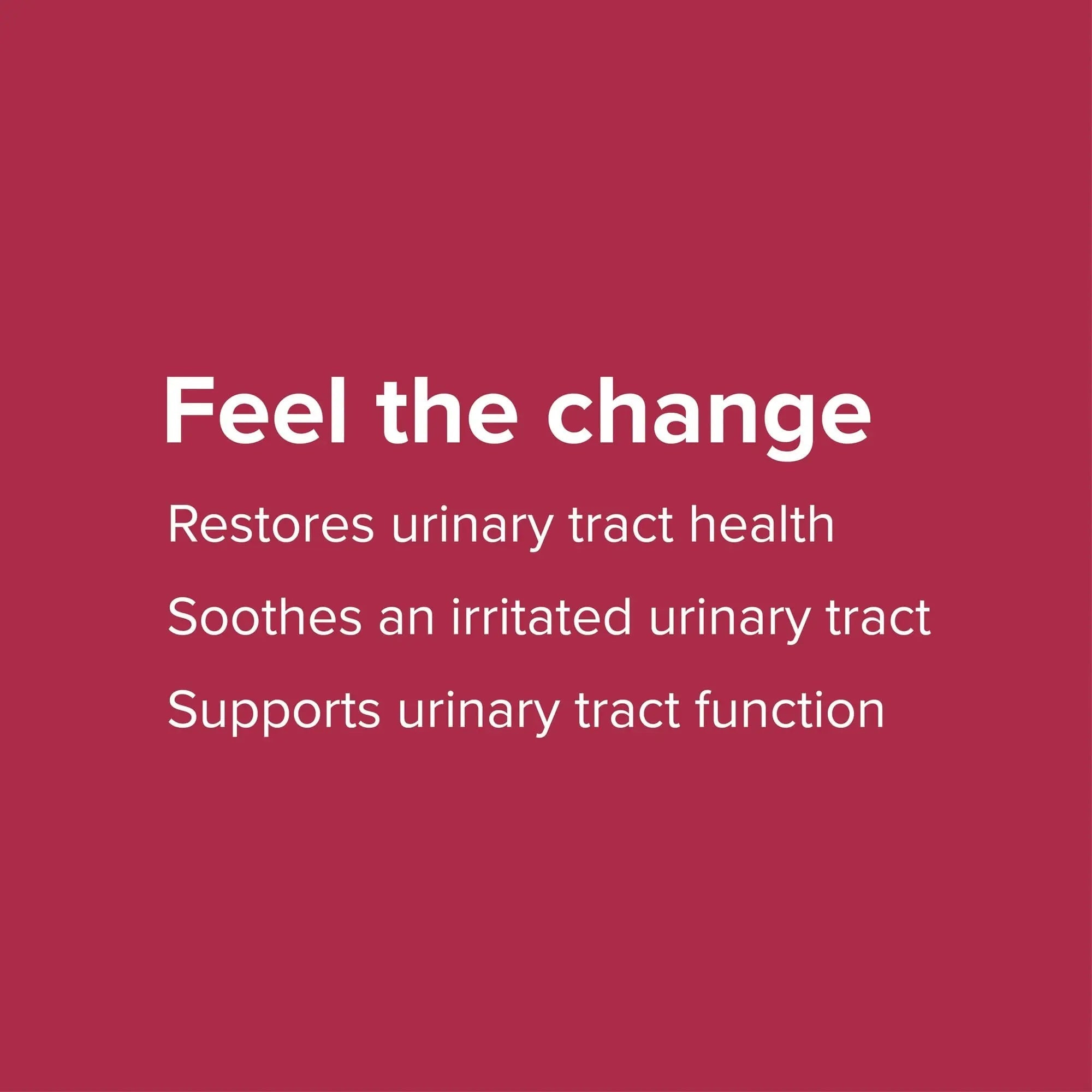 Vibrant Health, U.T. Vibrance Powder, Crisis Intervention for Urinary Tract Health, 10 Servings Vibrant HealthBuy Supplements Australia