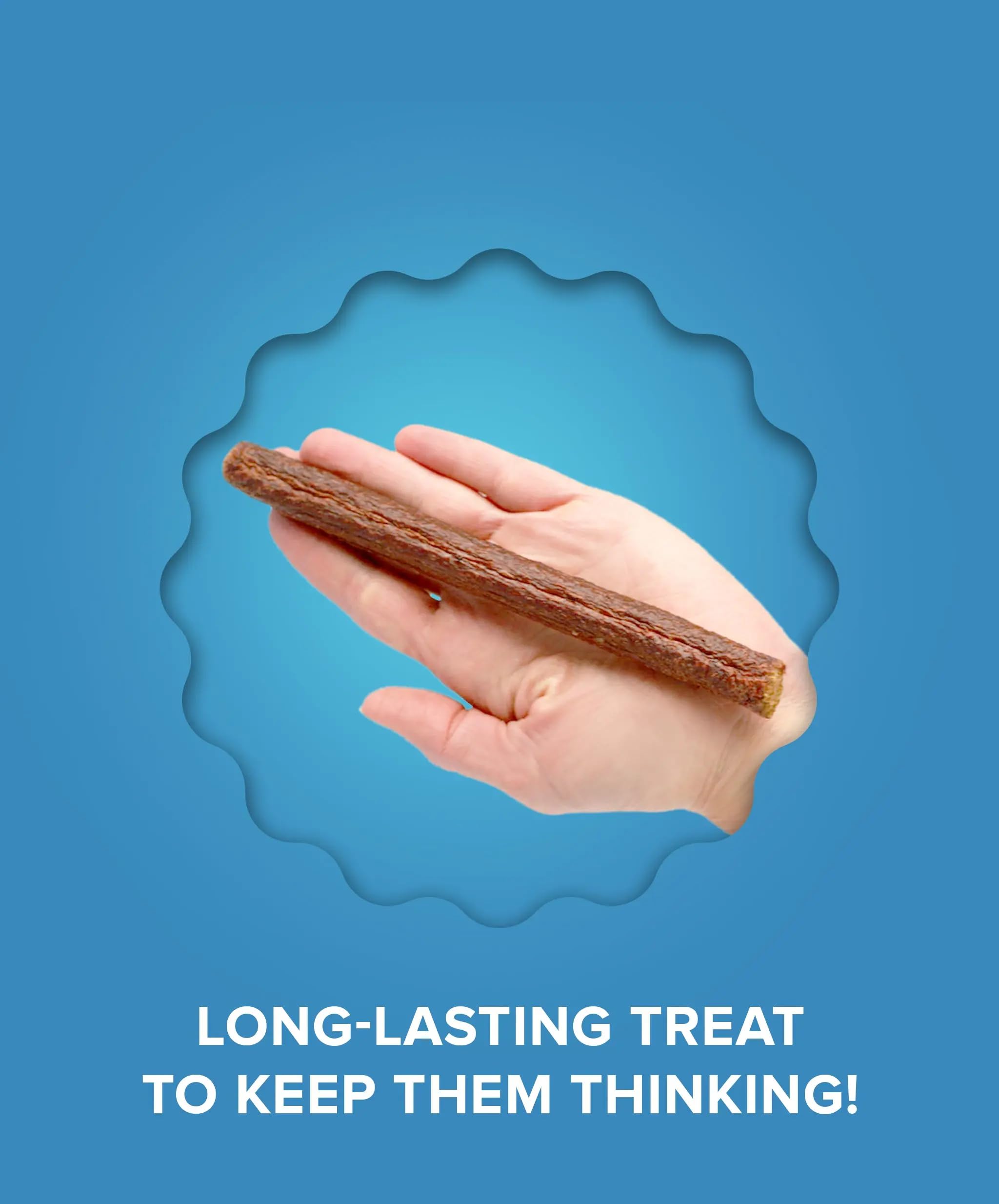 Plato Pet Treats Thinkers - Meat Stick Treats for Dogs - Limited Ingredient with EPA and DHA to Support Skin, Coat, and Brain - Air-Dried - Thinkers Salmon 10oz - 2 Pack