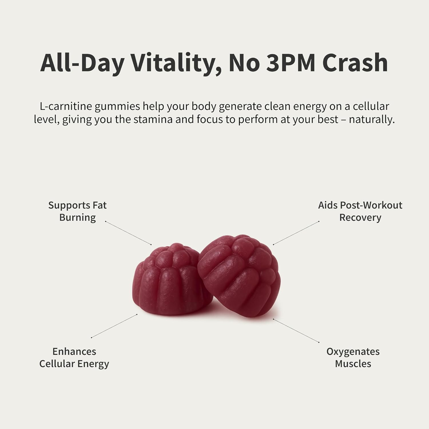 Snap Supplements L-Carnitine Tartrate, 60 Blueberry Sugar-Free Gummies | Amino Acid Supplement for Healthy Exercise Recovery, Metabolism, & Energy, Vegan, 30-Day Supply