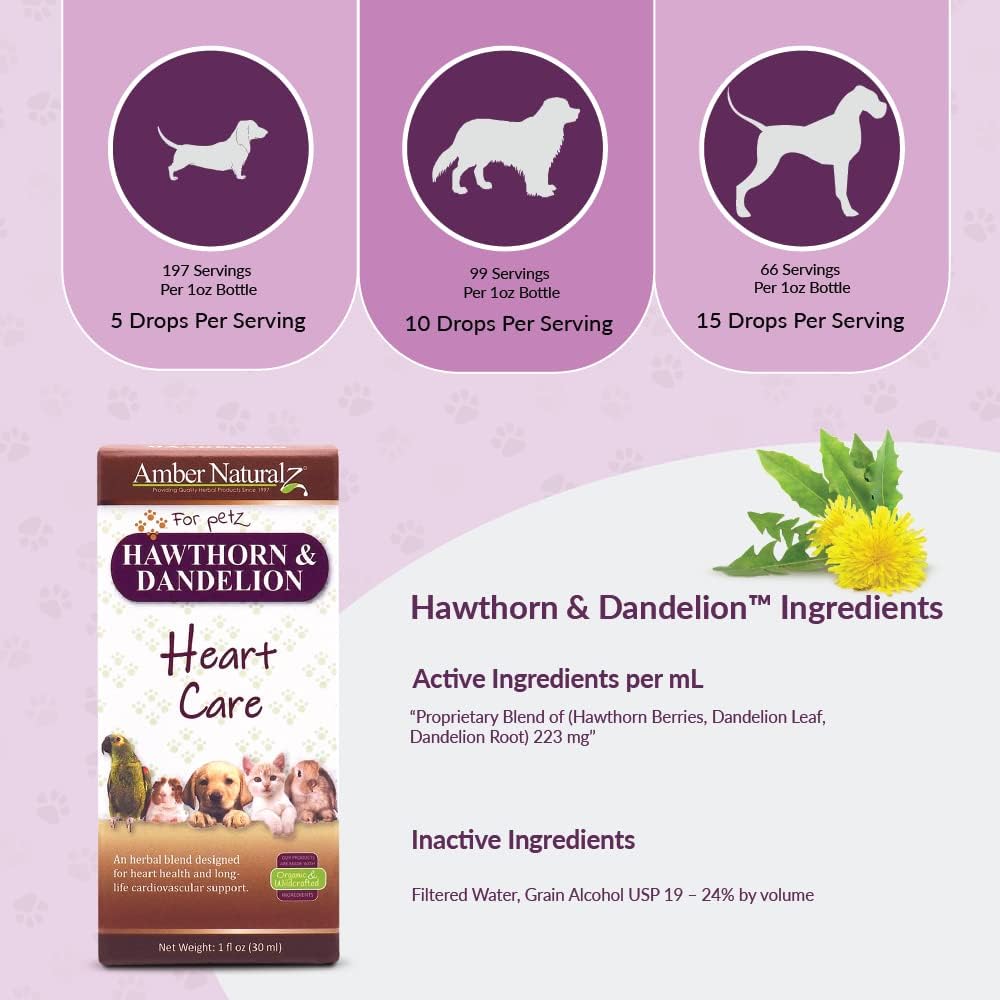 Amber NaturalZ Hawthorn & Dandelion for Pets, Heart & Circulation Care, 1oz | Maintains optimal cardiovascular wellness in pets. Supports normal heart function, healthy blood circulation & fluid balance.
