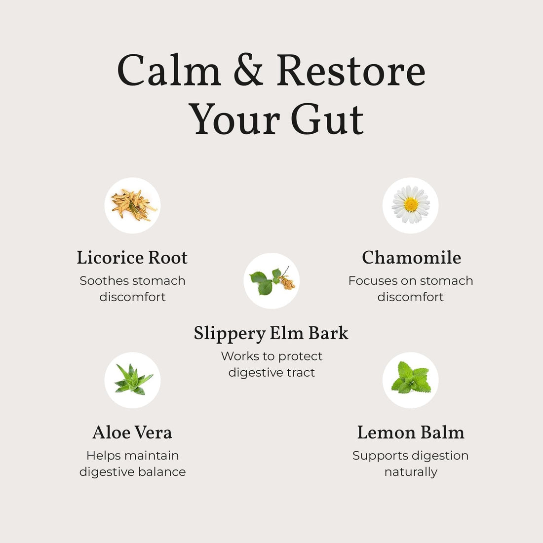 Terra Health Essentials Acid Relief - Plant Based Digestive Support Supplement for Comfortable Gut Function - Lemon Balm, Slippery Elm,