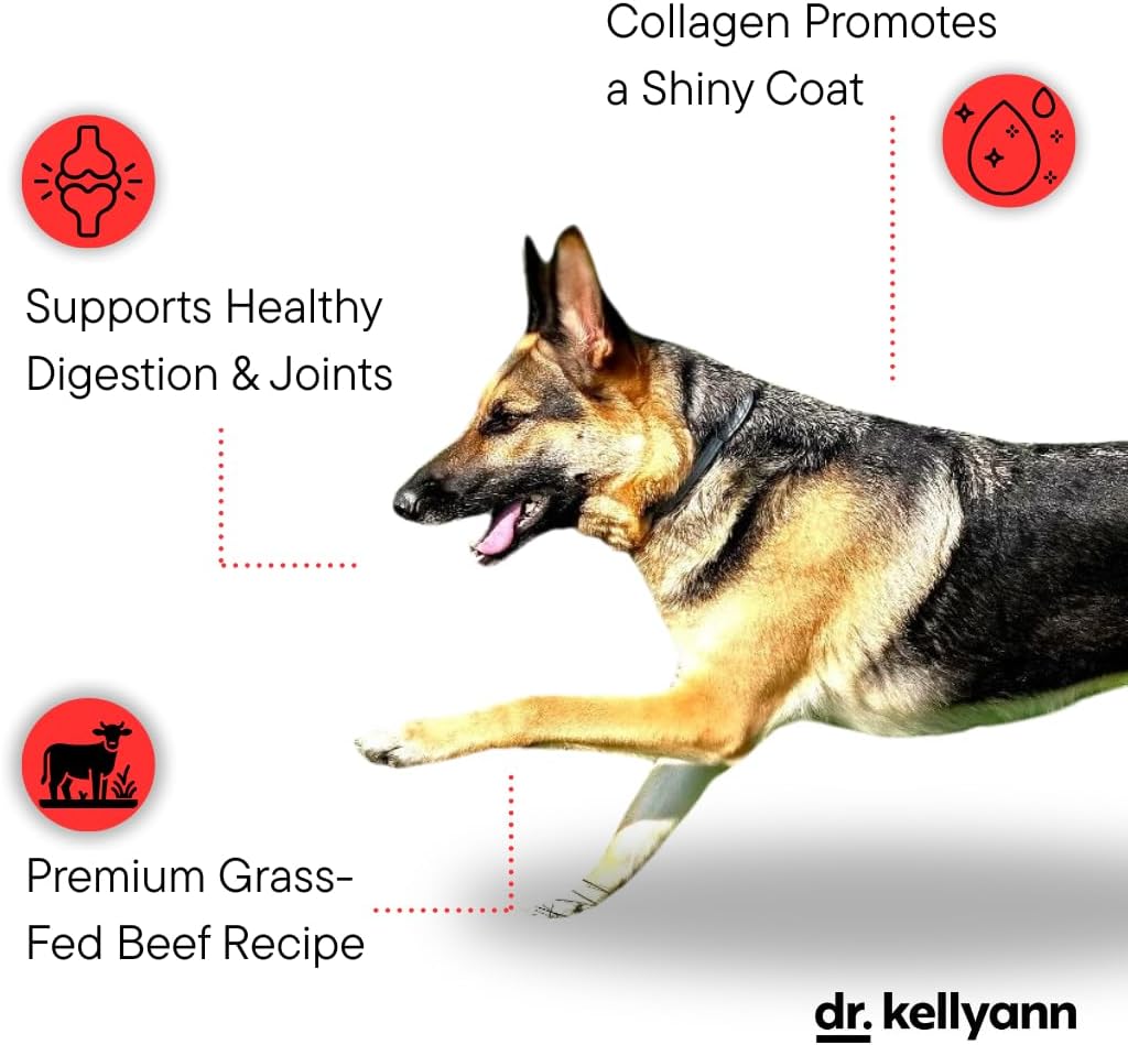 Dr. Kellyann Bone Broth Meal Topper for Dogs | Grass-Fed Beef Recipe | 3g Collagen | Supports Healthy Digestion & Joints | Shiny Coat | Grain Free | 6.60 oz