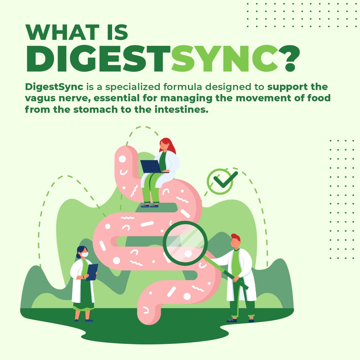 DigestSync Green Powder – Botanical Formula – 30 Servings, 1 Month Supply | Botanical green powder that mixes into water or smoothies | Non-GMO, plant-based blend | Unflavored daily scoop