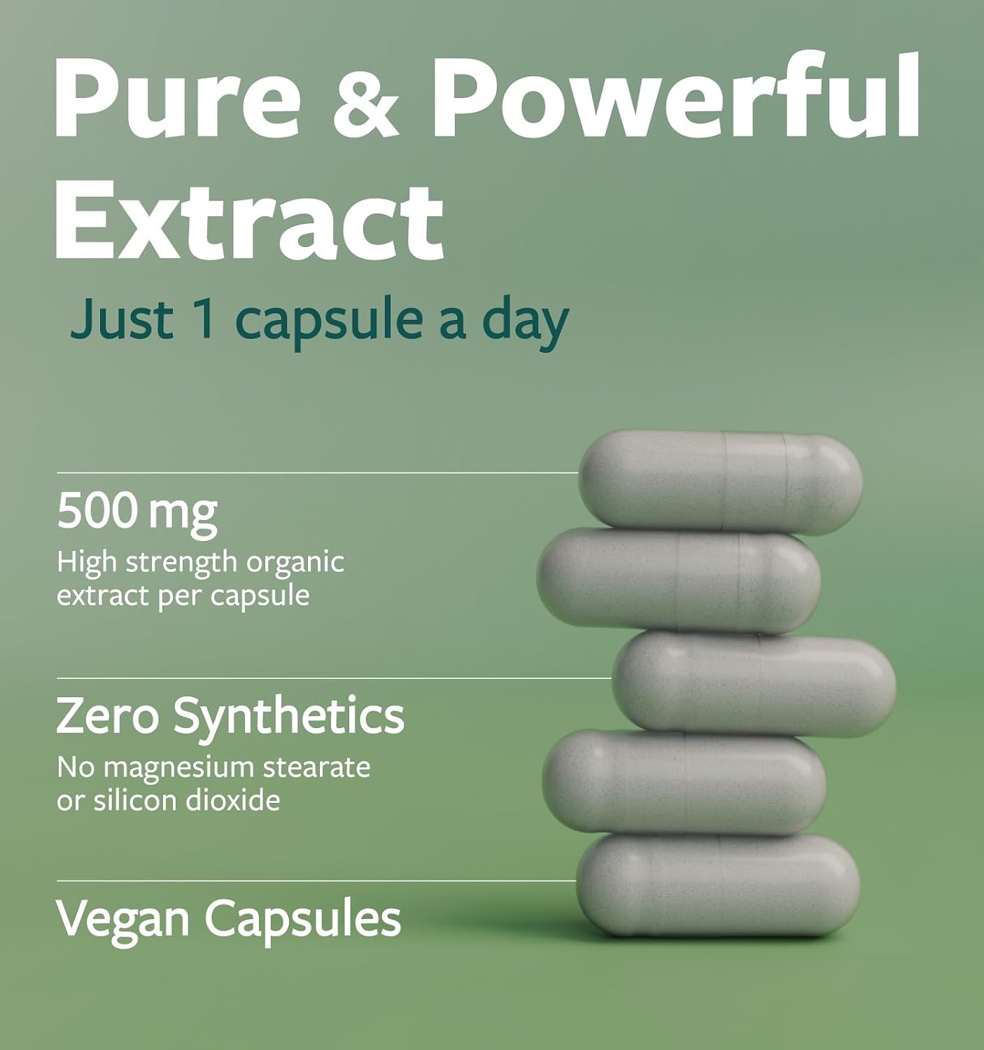 USDA Organic Moringa Capsules - High Potency Organic Moringa 500mg Extract 10:1 Per 1 Capsule Serving - Nutrient Dense Green Superfood Antioxidant - Vegan & Non-GMO Moringa (2 Month Supply)