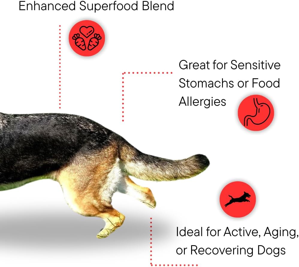Dr. Kellyann Bone Broth Meal Topper for Dogs | Grass-Fed Beef Recipe | 3g Collagen | Supports Healthy Digestion & Joints | Shiny Coat | Grain Free | 6.60 oz