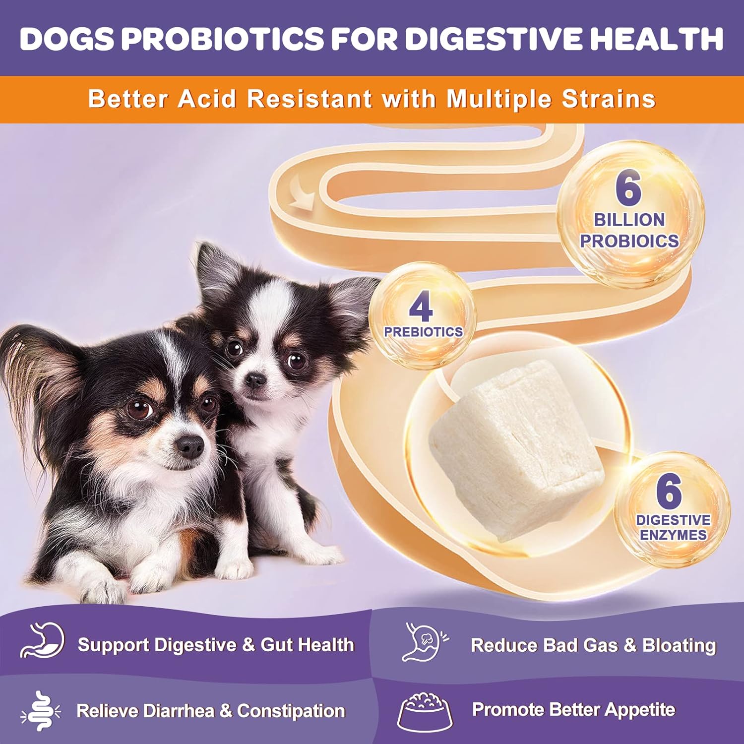 NATURE TARGET 6 Billion Freeze Dried Probiotics for Dogs, 120 Bites | With Prebiotics & Enzymes, Vitamins & Omega 3, Support Digestive & Gut Health, Itch Relief, Reduce Diarrhea