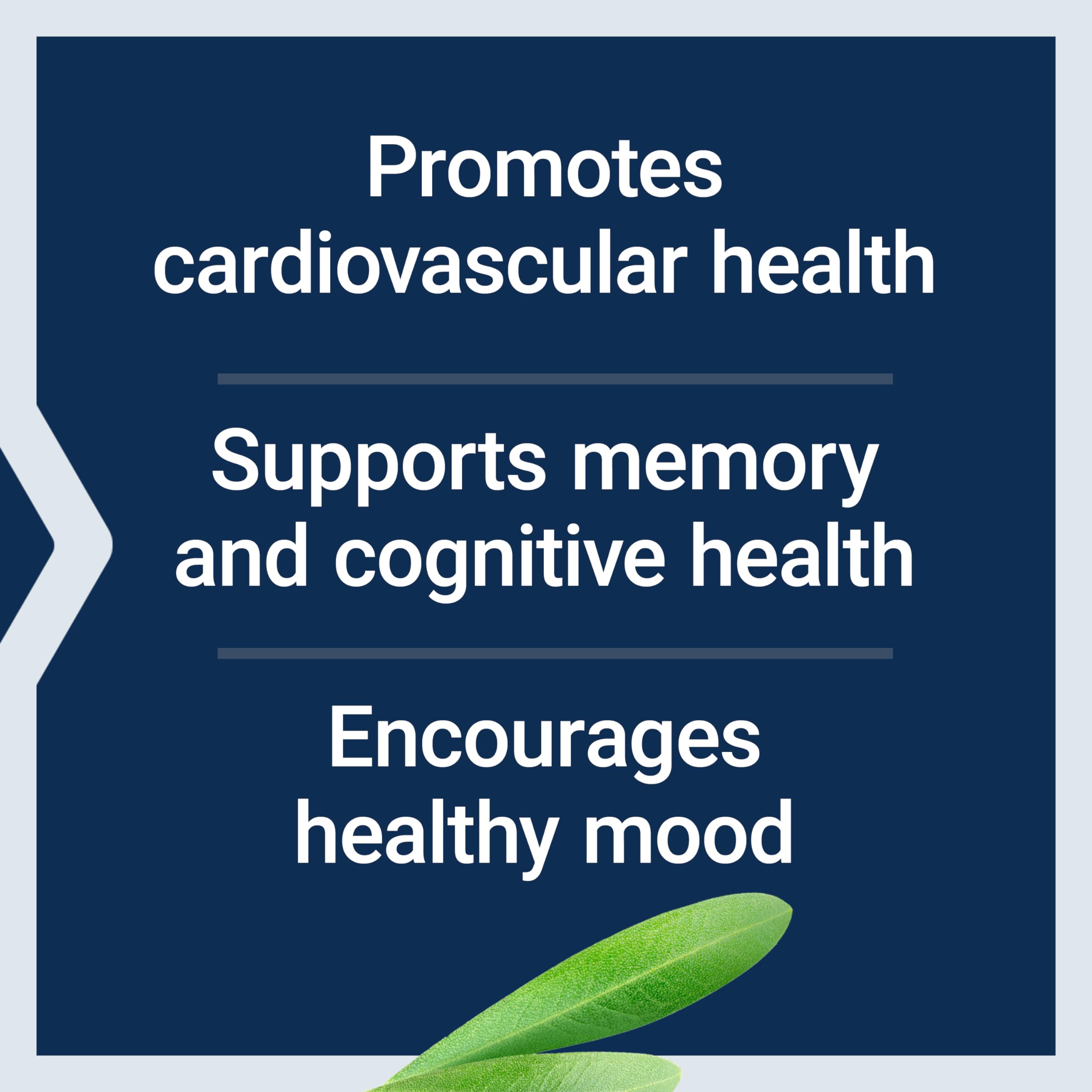 Life Extension Healthy Aging Powder, Healthy Aging Supplement, Heart Health, Brain Health, Exercise Performance, Taurine, Lithium, spermidine, Powder Blend, Non-GMO, Vegetarian, 30 Servings Life ExtensionBuy Supplements Australia