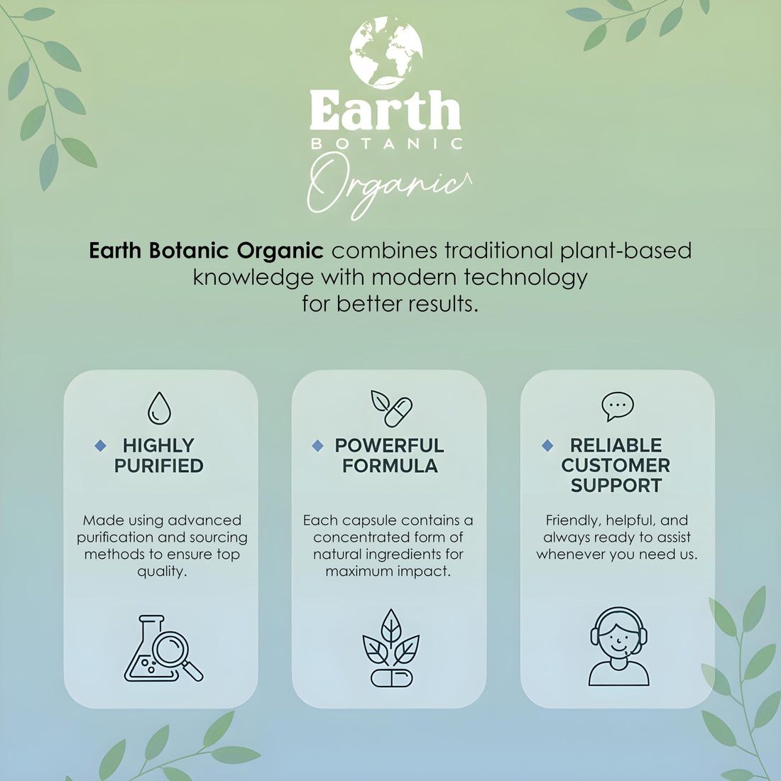 Earth BOTANIC Organic Apricot Extract, 1000 mg 120 Veggie Capsules (Vegan, Non-GMO) Herbal Supplements Earth BOTANIC OrganicBuy Supplements Australia