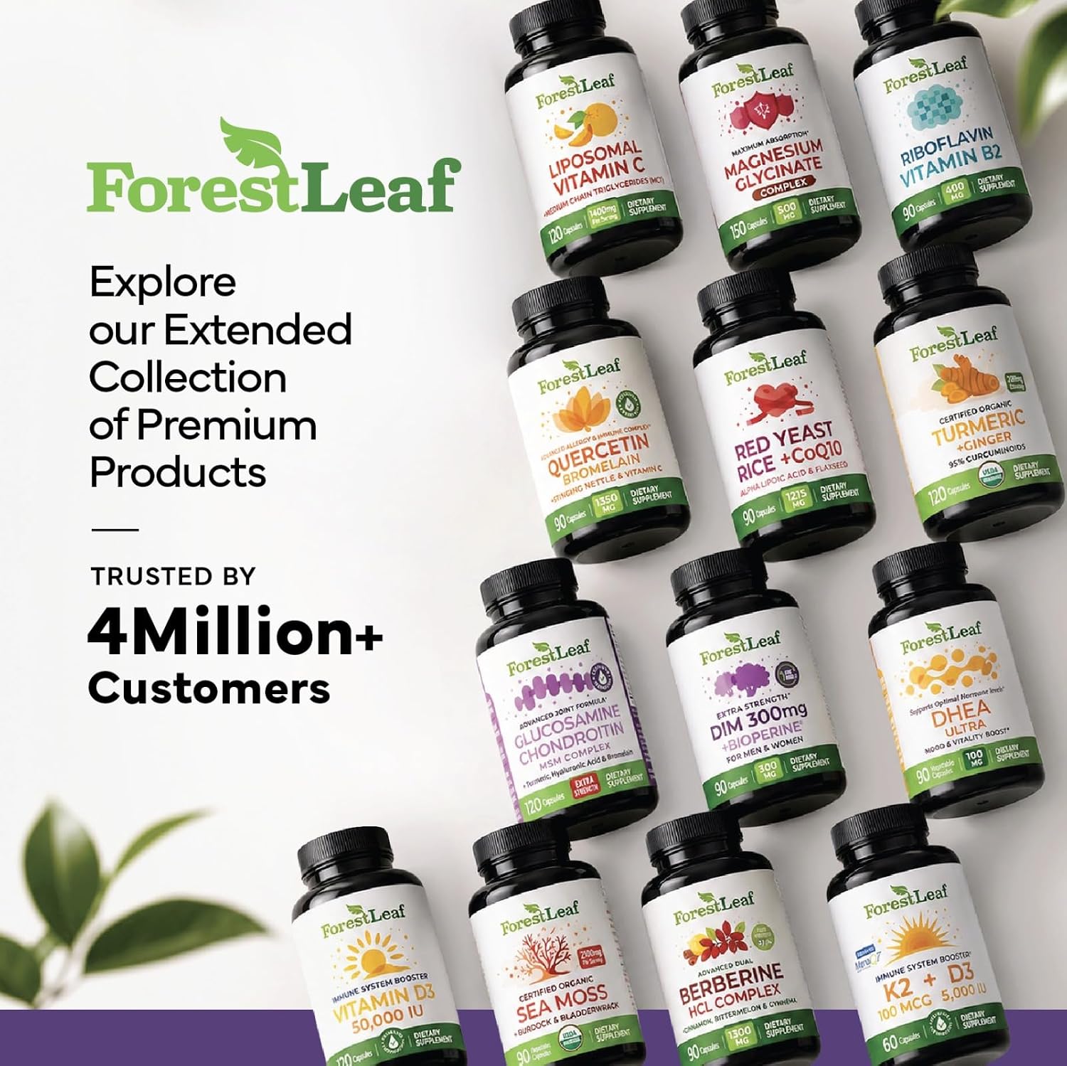 ForestLeaf L Theanine Supplement - L-Theanine 200mg with Ashwagandha and Magnesium for Focus, Stress Relief & Relaxation - Non-GMO & Gluten Free - 100 Caps
