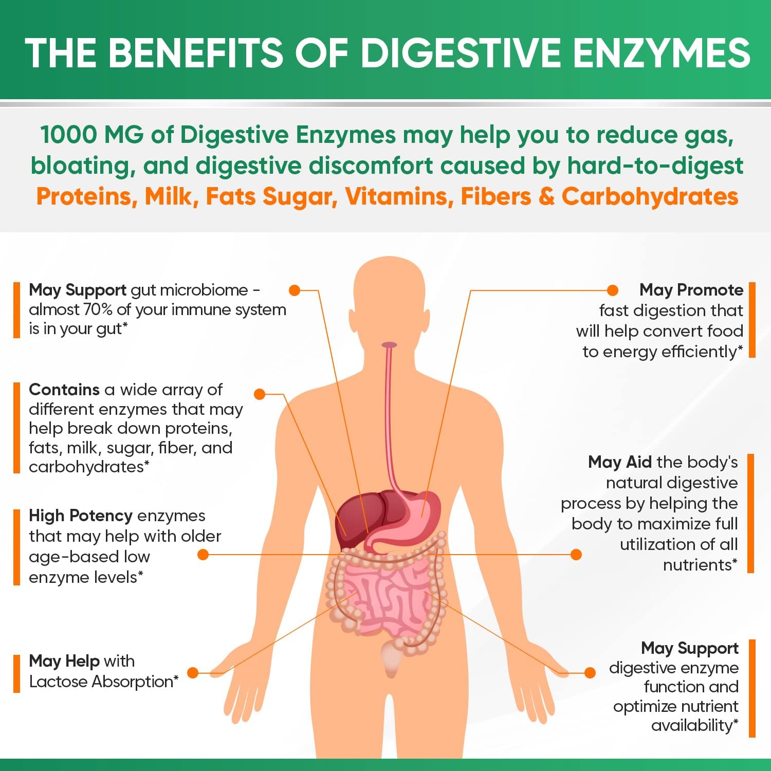 Wholesome Wellness Digestive Enzymes 1000MG Plus Prebiotics & Probiotics + Liposomal Vitamin C Capsules (200 Pills 1500mg Buffered) Bundle