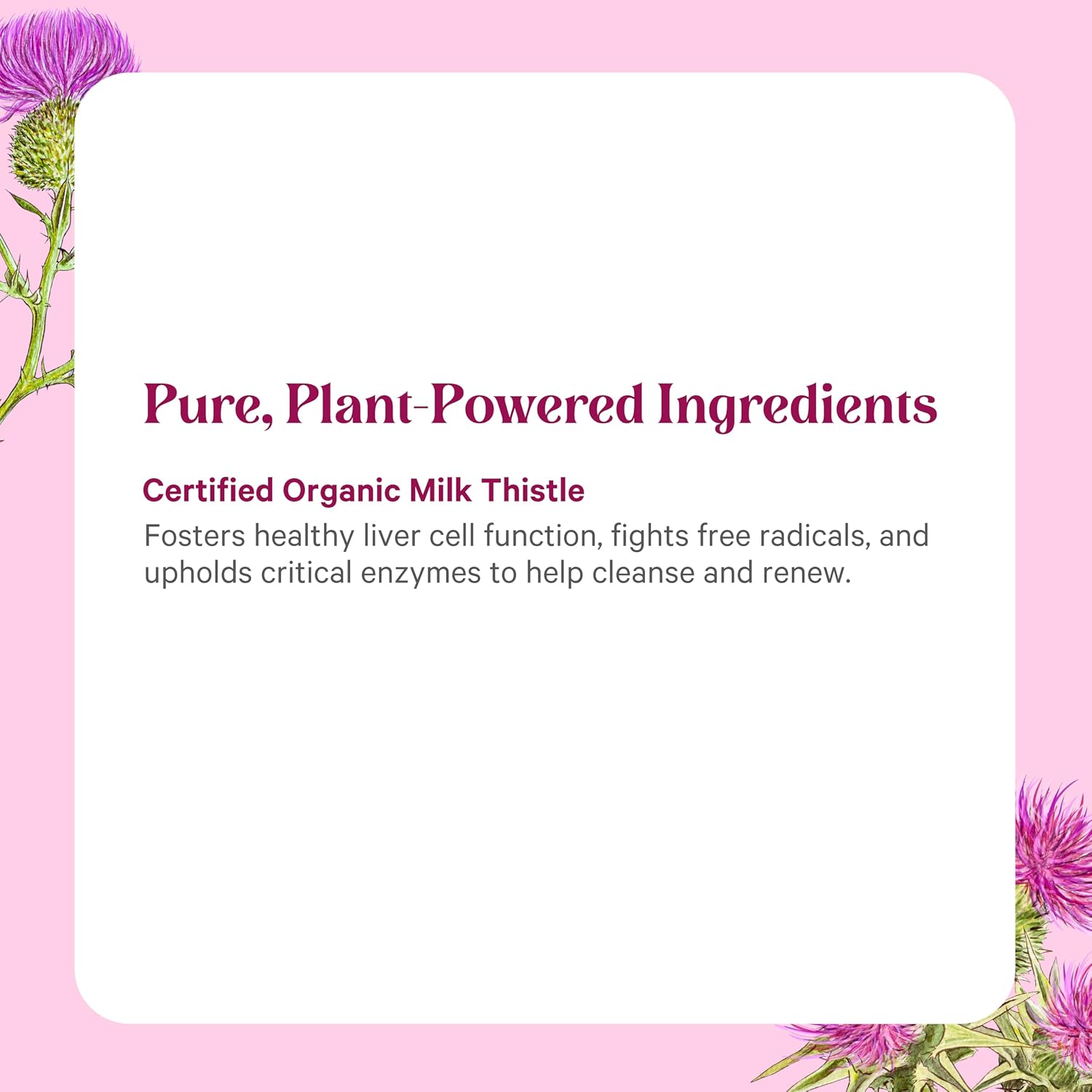 PURE SYNERGY SuperPure Milk Thistle Extract | Liver Detox and Cleanse Supplement | Organic Milk Thistle Extract with Silymarin | for Healthy Liver Support (60 Capsules)