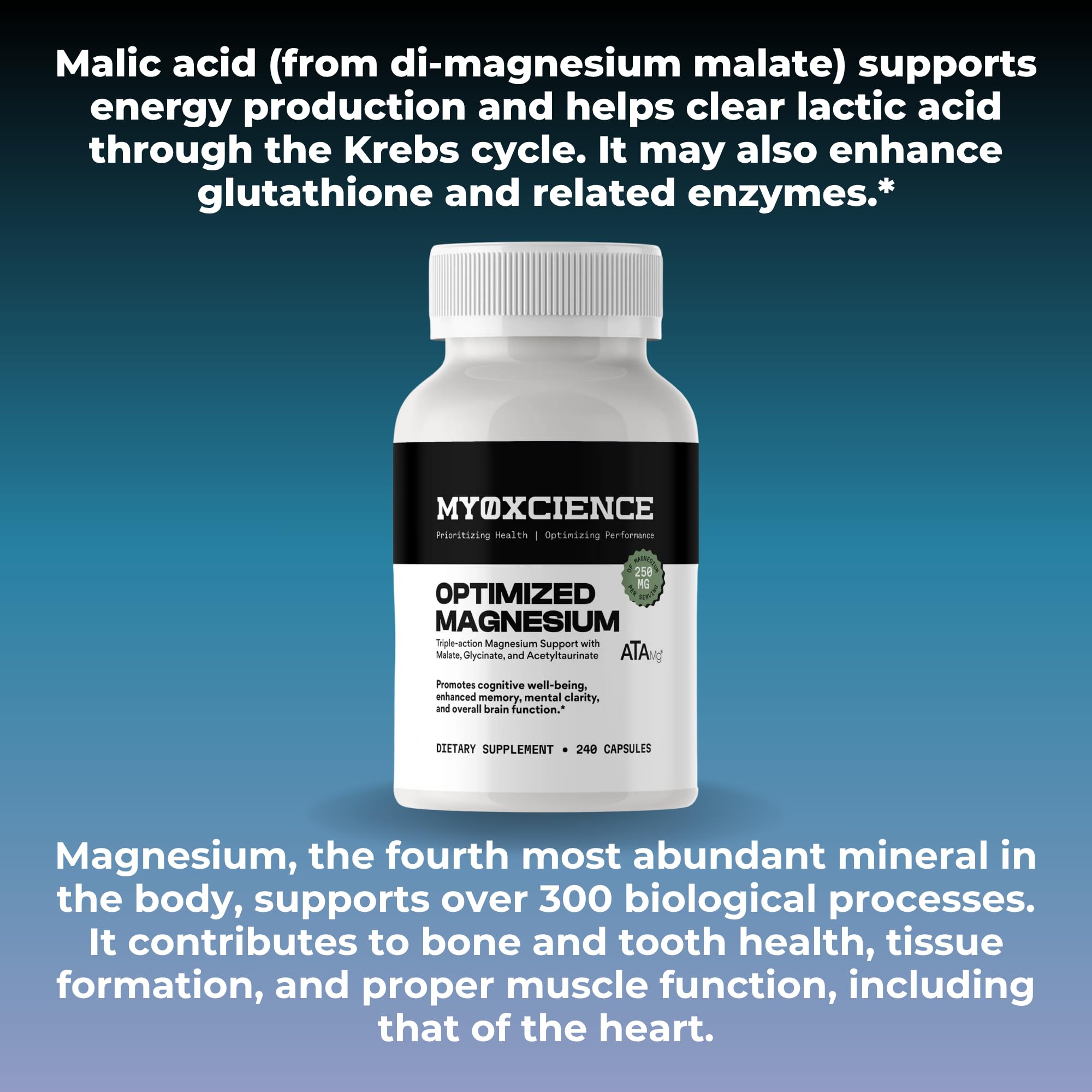 MYOXCIENCE Optimized Magnesium Glycinate + Magnesium Taurate (as ATAmag®) for High Brain Bioavailability to Support Stress Relief and Sleep | 80 Servings MYOXCIENCE buy supplements Au