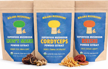 Malama All-Day Vitality Bundle – Lion’s Mane, Cordyceps & Reishi Mushroom Extract Powders – Organic Adaptogenic Superfood Trio for Focus, Energy & Relaxation – Vegan Supplements 3.5 oz (3-Pack)