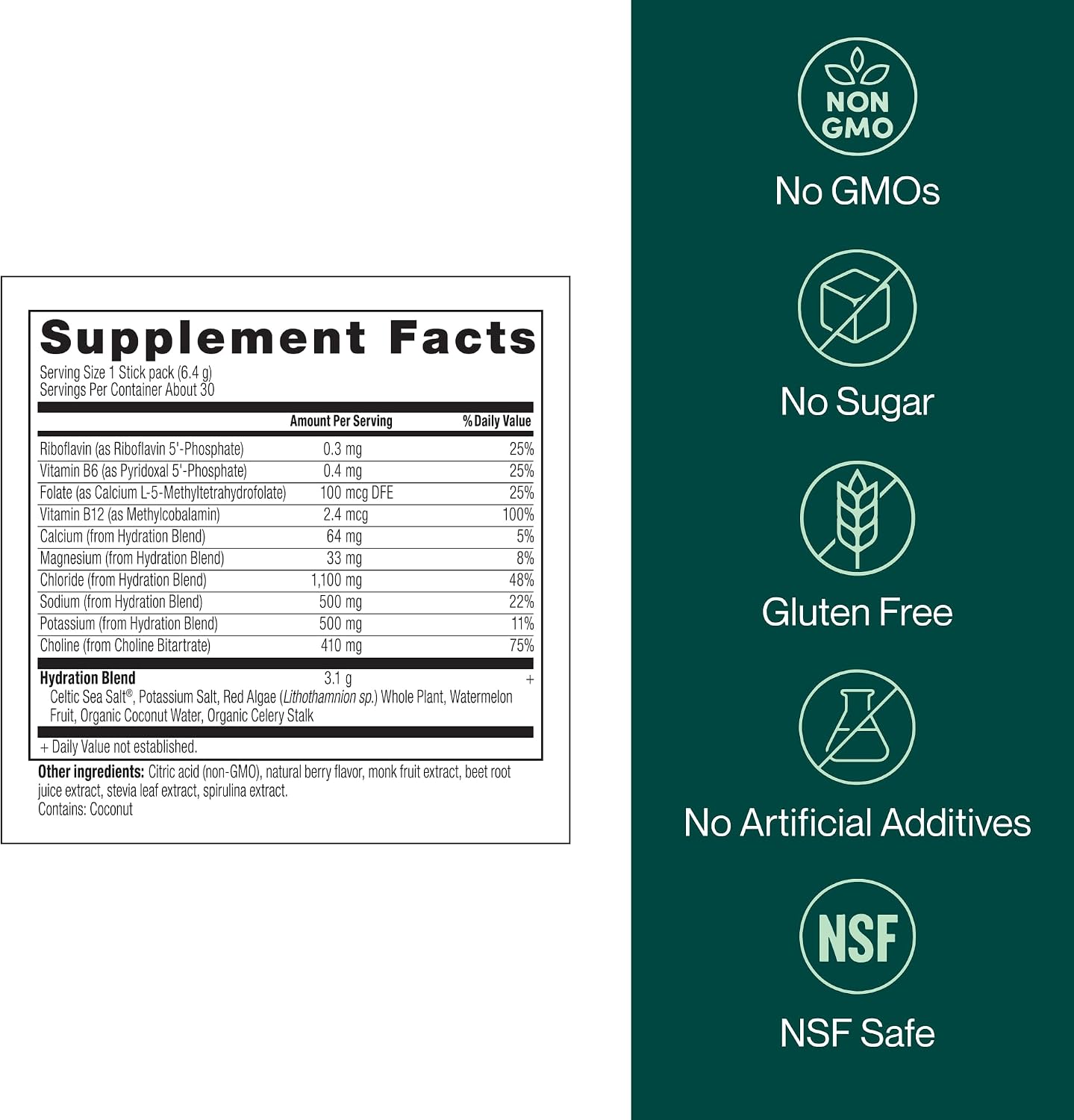 Cellular Hydration Electrolyte Powder – Pink Celtic Cave Salt from Spain, 410mg Choline, 1:1 Sodium-Potassium Ratio, Superfood Hydration Blend for Energy, Focus & Performance, 30 Servings