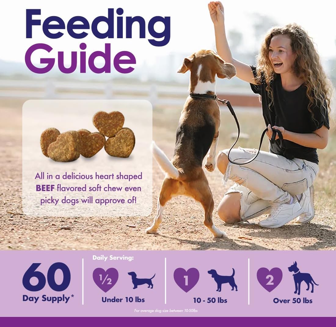 Dog Multivitamin Chewable - 22 in 1 Dog Vitamins and Supplements with Green Lipped Mussel & Omega 3 for Joints, Skin & Coat, Immune System - Senior & Puppy Multivitamin for Dogs - 60 Beef Chews