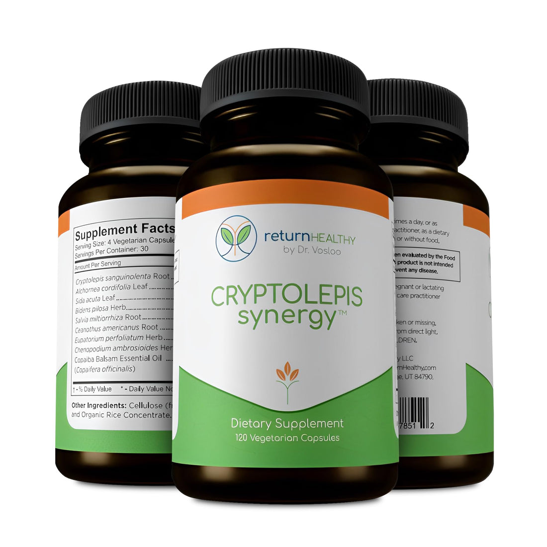 Return Healthy Cryptolepis Synergy, Immune Support Vitamins, Immune System Booster for Adults, Liver, Lymphatic, & Immune Support Supplement, Supports Lyme & Natural Parasite Defense, 120 Capsules Return HealthyBuy Supplements Australia