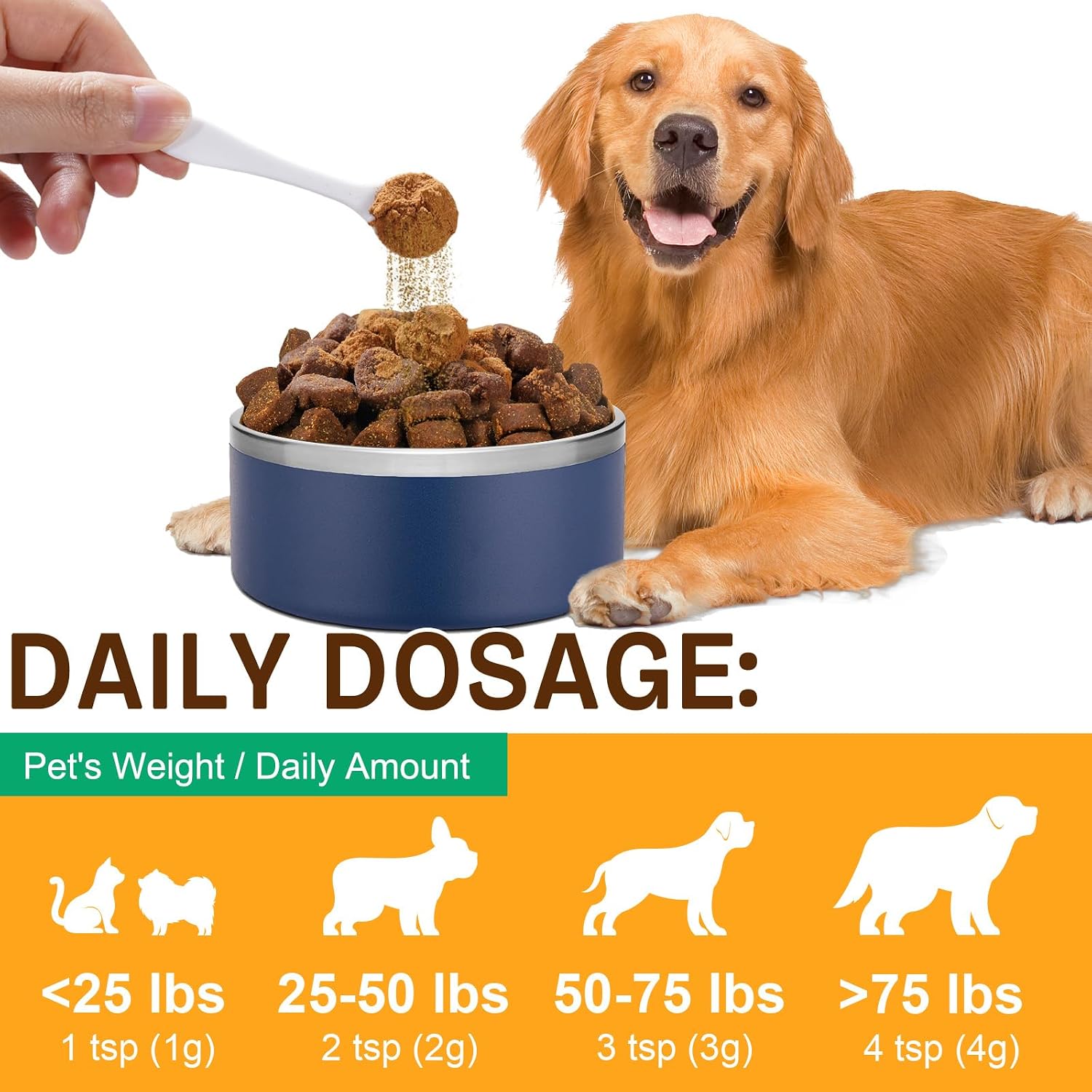 Mushroom Supplement Powder for Dogs & Cats, 11 Beneficial Mushroom Complex for Immune Support, Cellular Protection, Heart & Brain Health Lion's Mane, Reishi & Turkey Tail, Bacon Flavor - 120g
