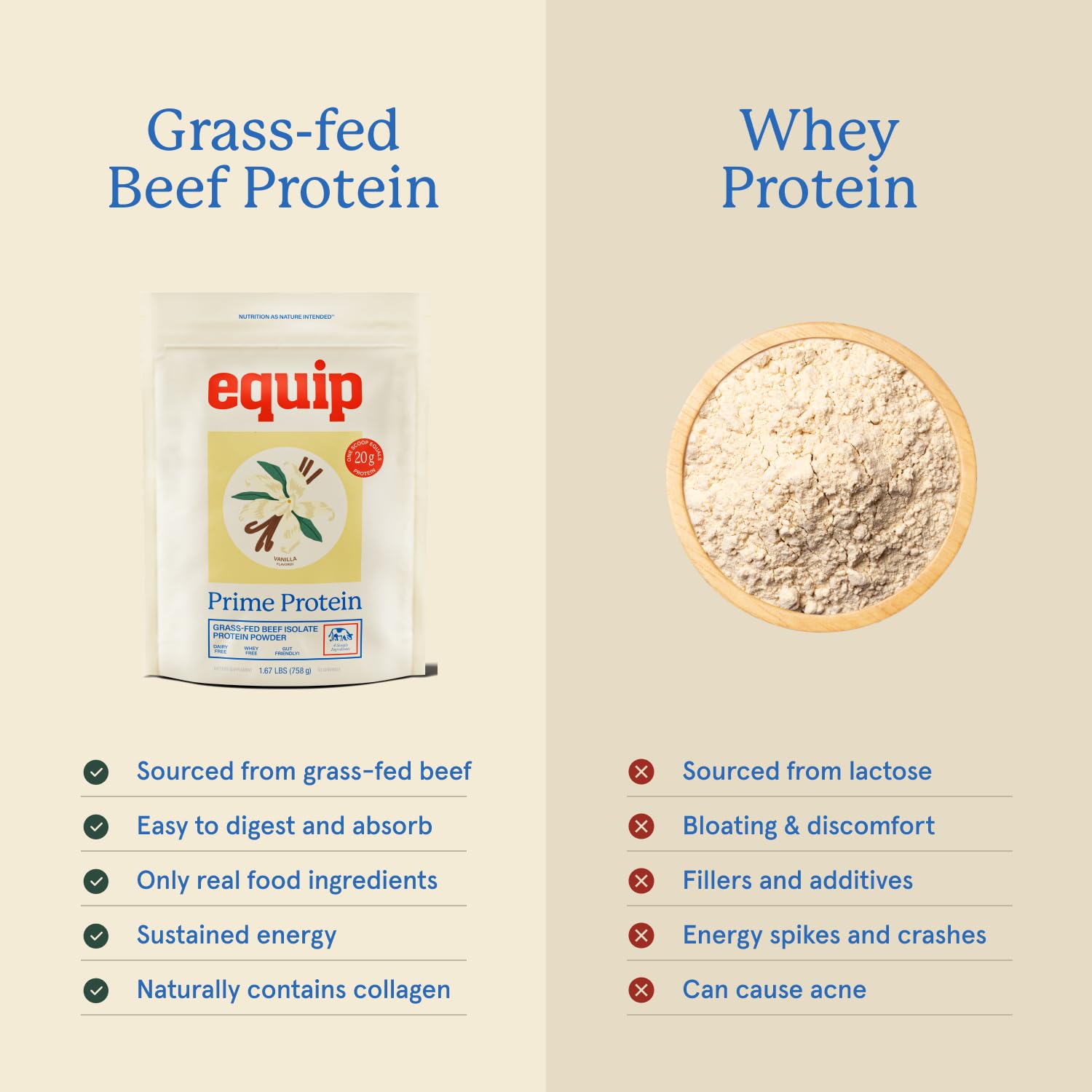 Equip Prime Chocolate Protein Powder - Gut-Friendly, No Sugar Protein Shake Powder with Grass-Fed Beef & Natural Collagen - Rich & Creamy Mix - 21g Per Serving - Whey & Dairy-Free (30 Scoops)