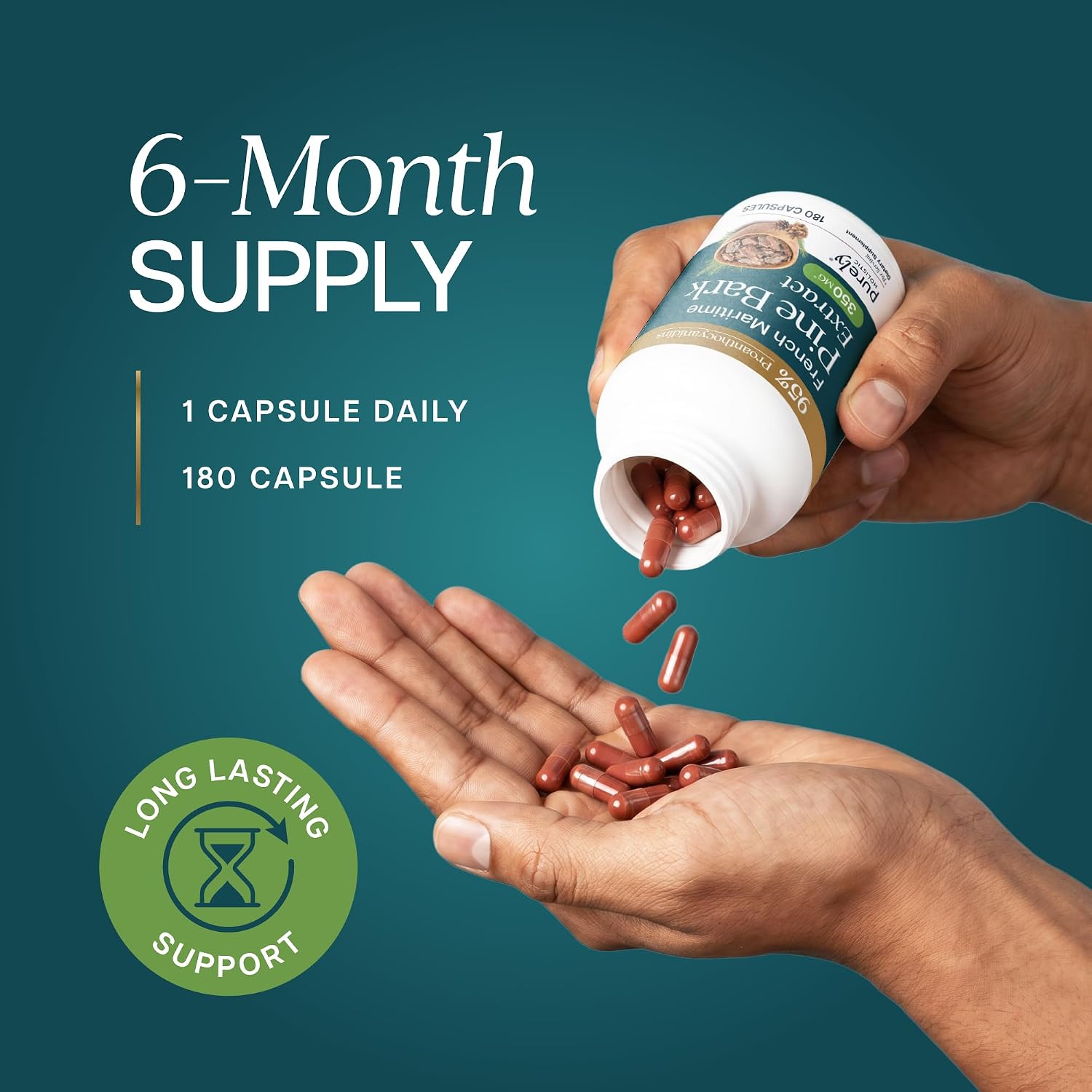 French Maritime Pine Bark Extract Capsules, 95% Proanthocyanidins, Vegan | 6 Month Supply, Cardiovascular & Antioxidant Support, High-Strength Pine Bark Extract 350mg, Vegan & Non-GMO, 180 Capsules