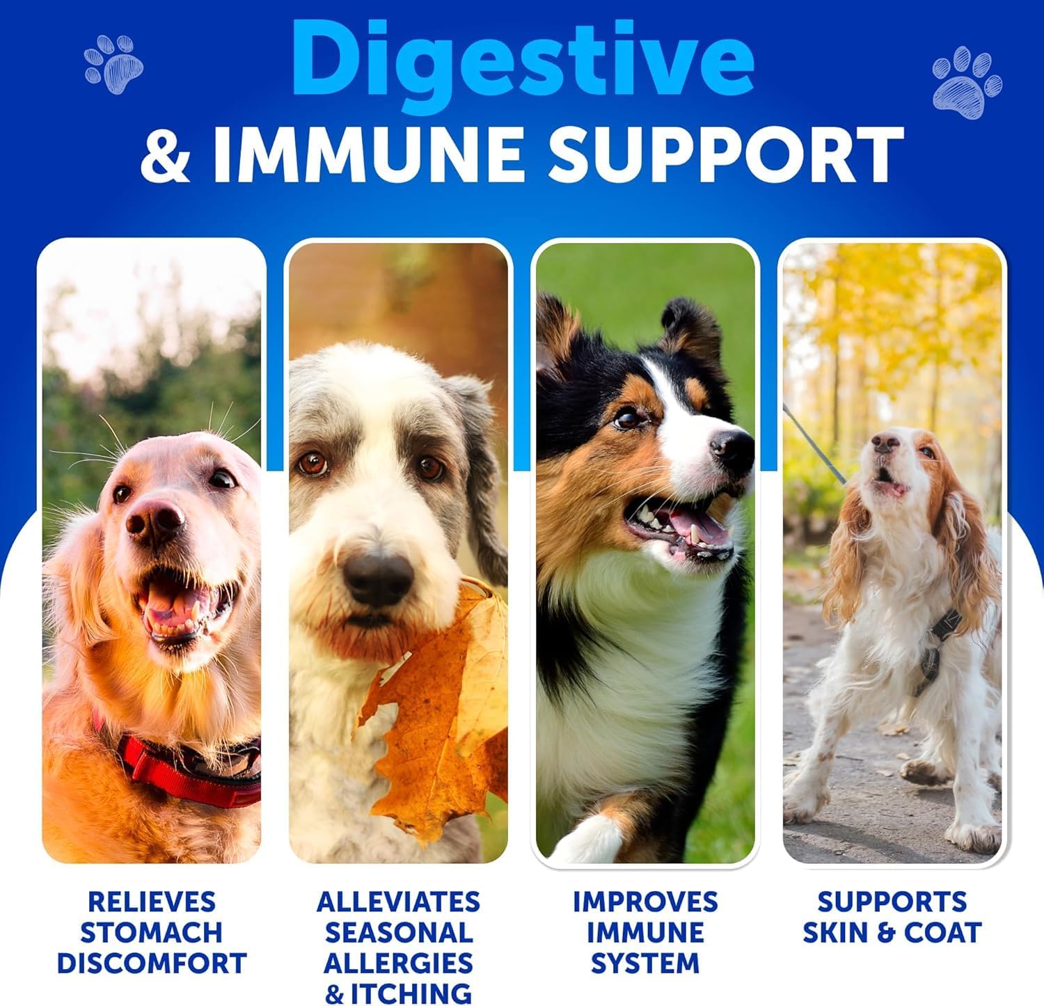 Dog Probiotic Chews + Salmon Oil Bundle - Probiotics & Prebiotics for Gut Health, Immunity, Yeast Balance, Reduces Diarrhea - Omega 3 with EPA & DHA for Skin, Coat, Joint & Allergy Support