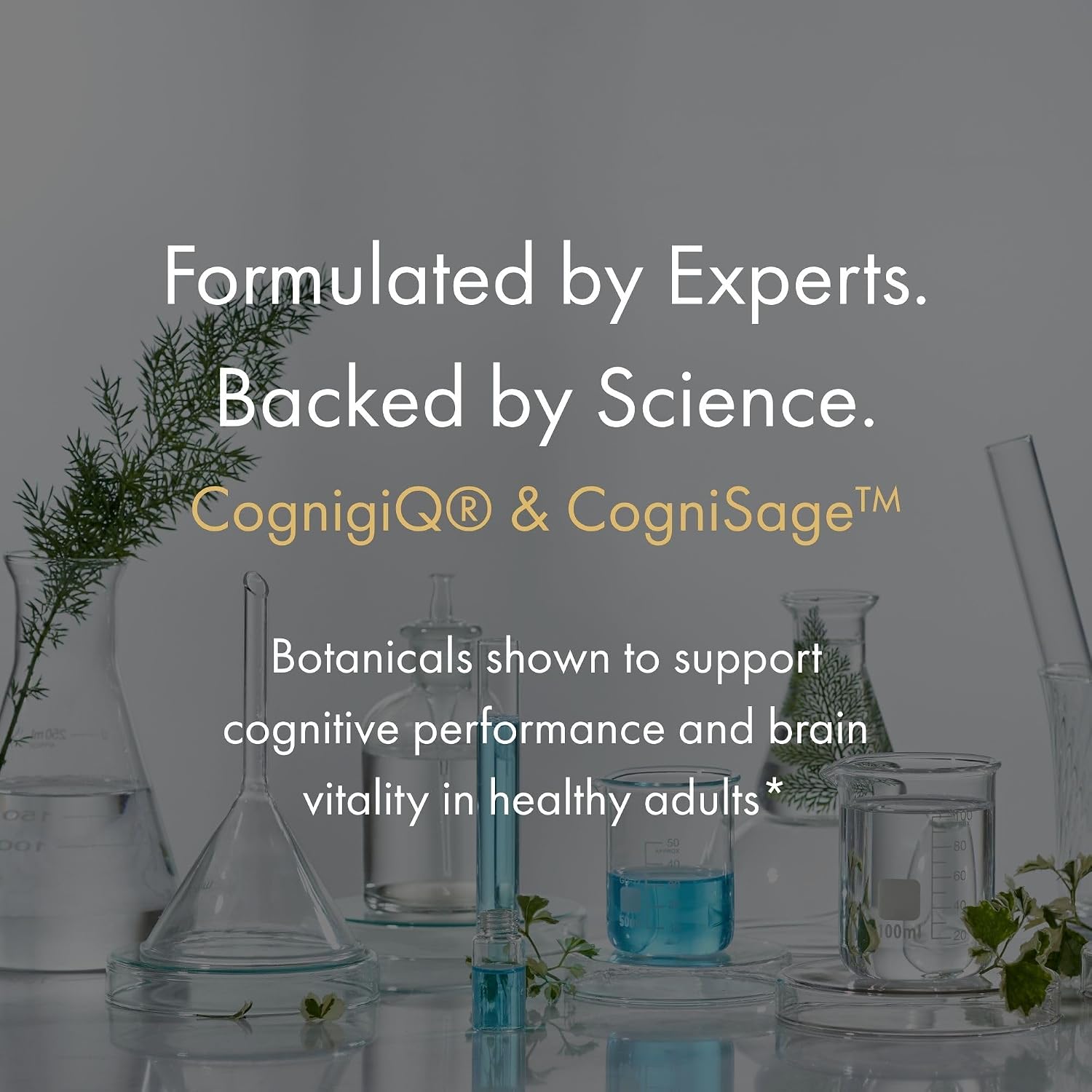 NAOMI BrainSpan™ with BDNF Support - Supports Working Memory, Focus & Concentration - CogniSage™, CognatiQ®, Lion Mane, Phosphatidylserine, Ginkgo Biloba, B6 & B12, Non-GMO, 30-Day Supply