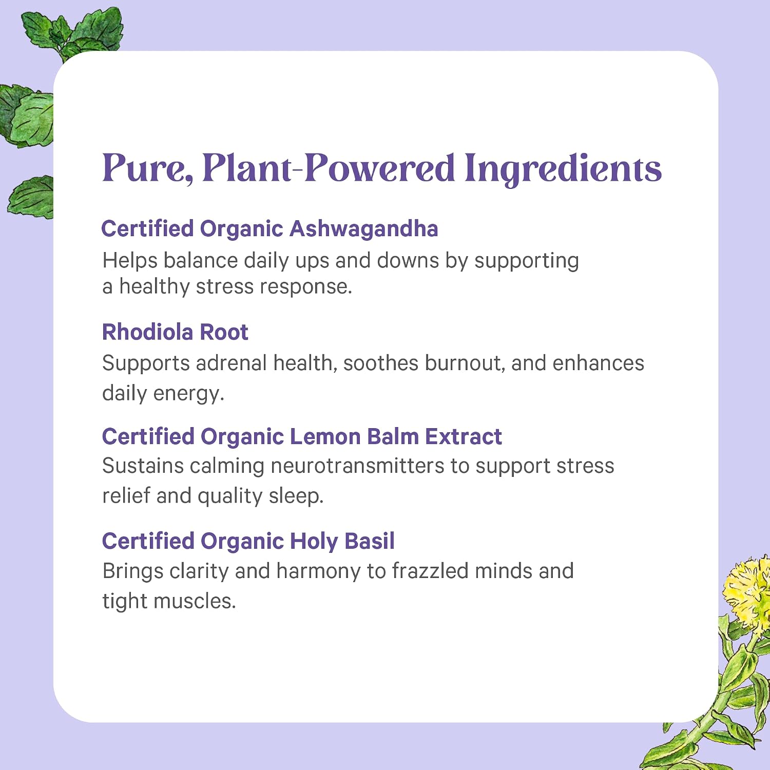 PURE SYNERGY Stress Remedy | Soothing Supplement with Ashwagandha | Organic Adaptogen Support from Lemon Balm and Holy Basil | for Stress Relief, Adrenal Health, and Mood (60 Capsules)