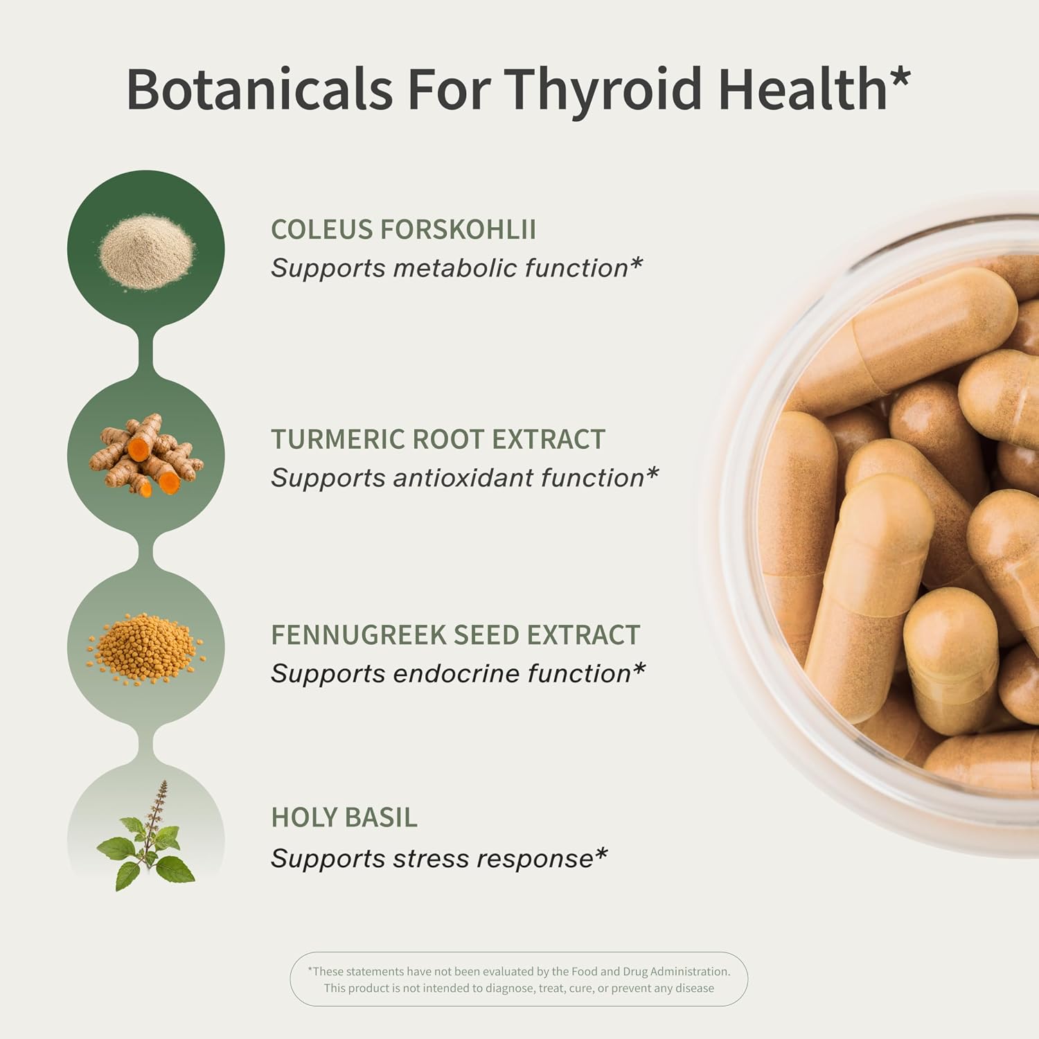 Snap Supplements Thyroid Health, Selenium, Zinc, L-Tyrosine, 60 Capsules | Thyroid Support Supplement for Women & Men, Botanicals for Metabolism, Energy & Endocrine Balance, Iodine-Free, Vegan