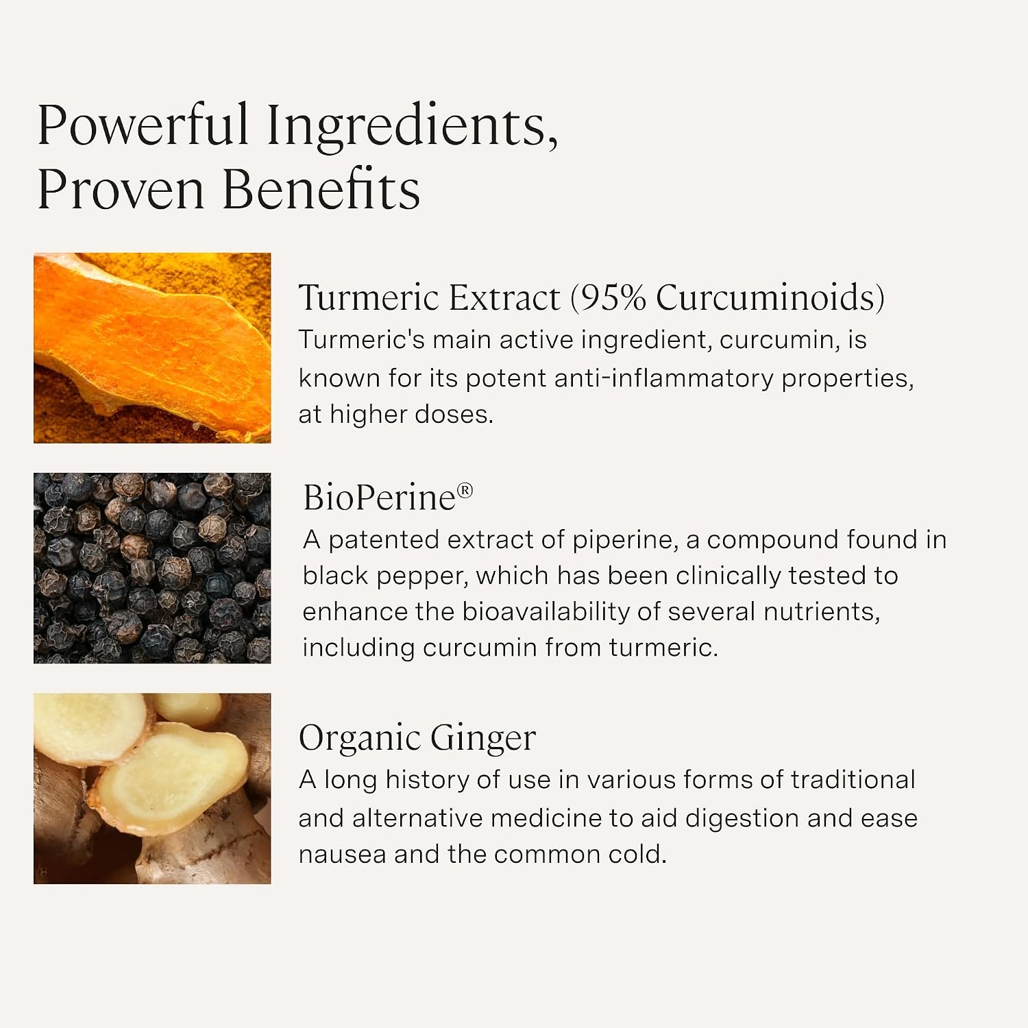 Stonehenge Health Dynamic Brain + Dynamic Turmeric Bundle Supports: Memory Acquisition, Retention, & Recall