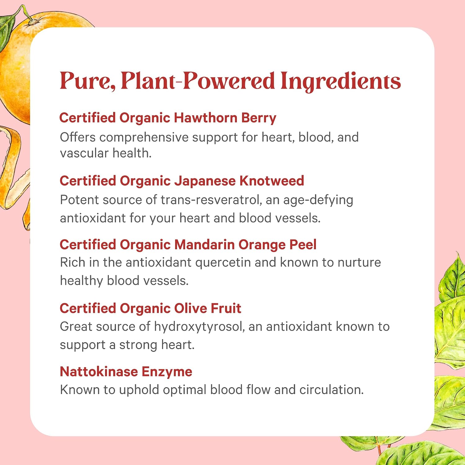 PURE SYNERGY Heart Protector | Organic Holistic Heart Supplement with Organic Hawthorn Berry, Resveratrol, and Nattokinase | for Blood and Vascular Support (60 Capsules)