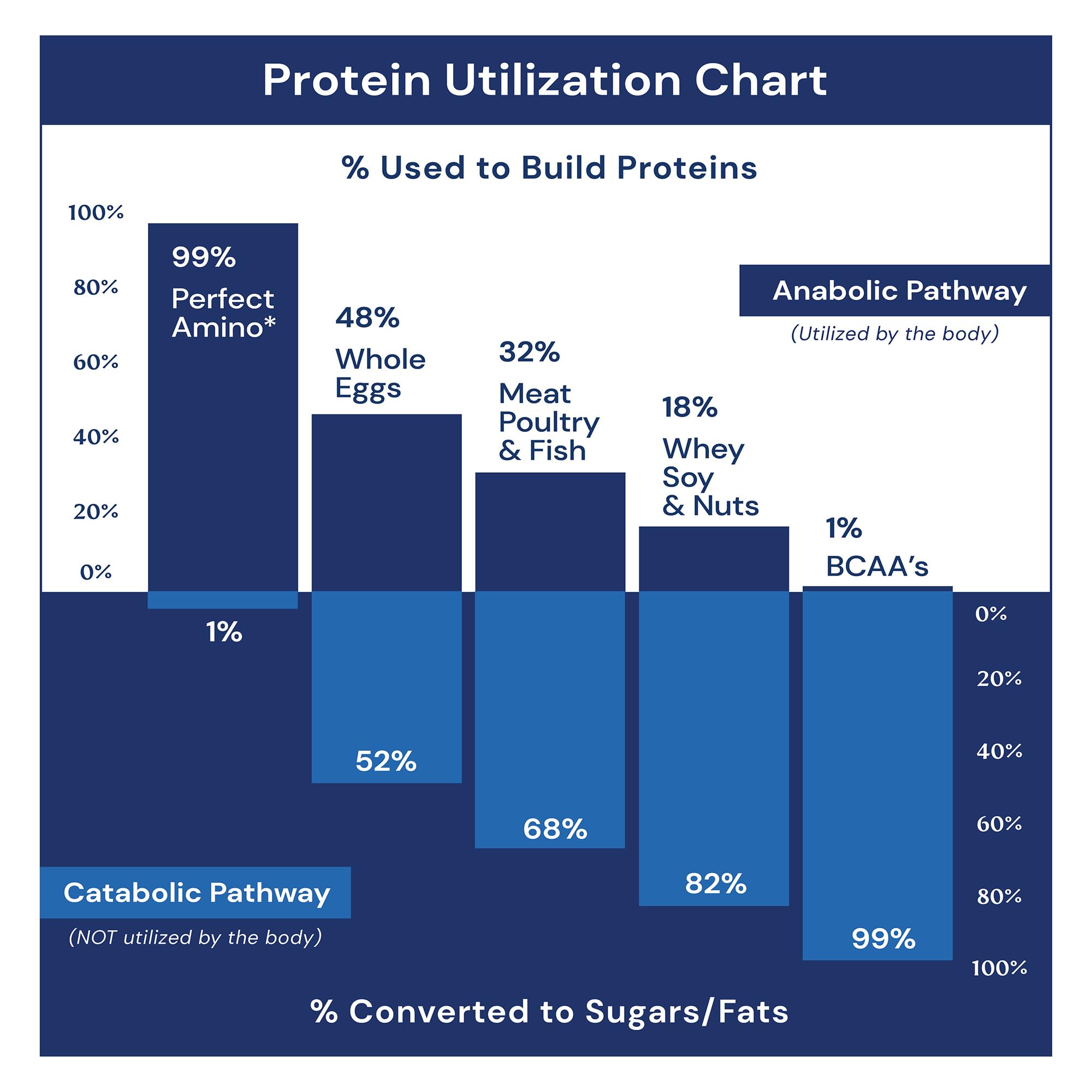 BodyHealth PerfectAmino Power Meal Shake New Dark Chocolate Flavor with MCT Oil Carb 10 and Perfect Amino Protein Base (20 Servings)
