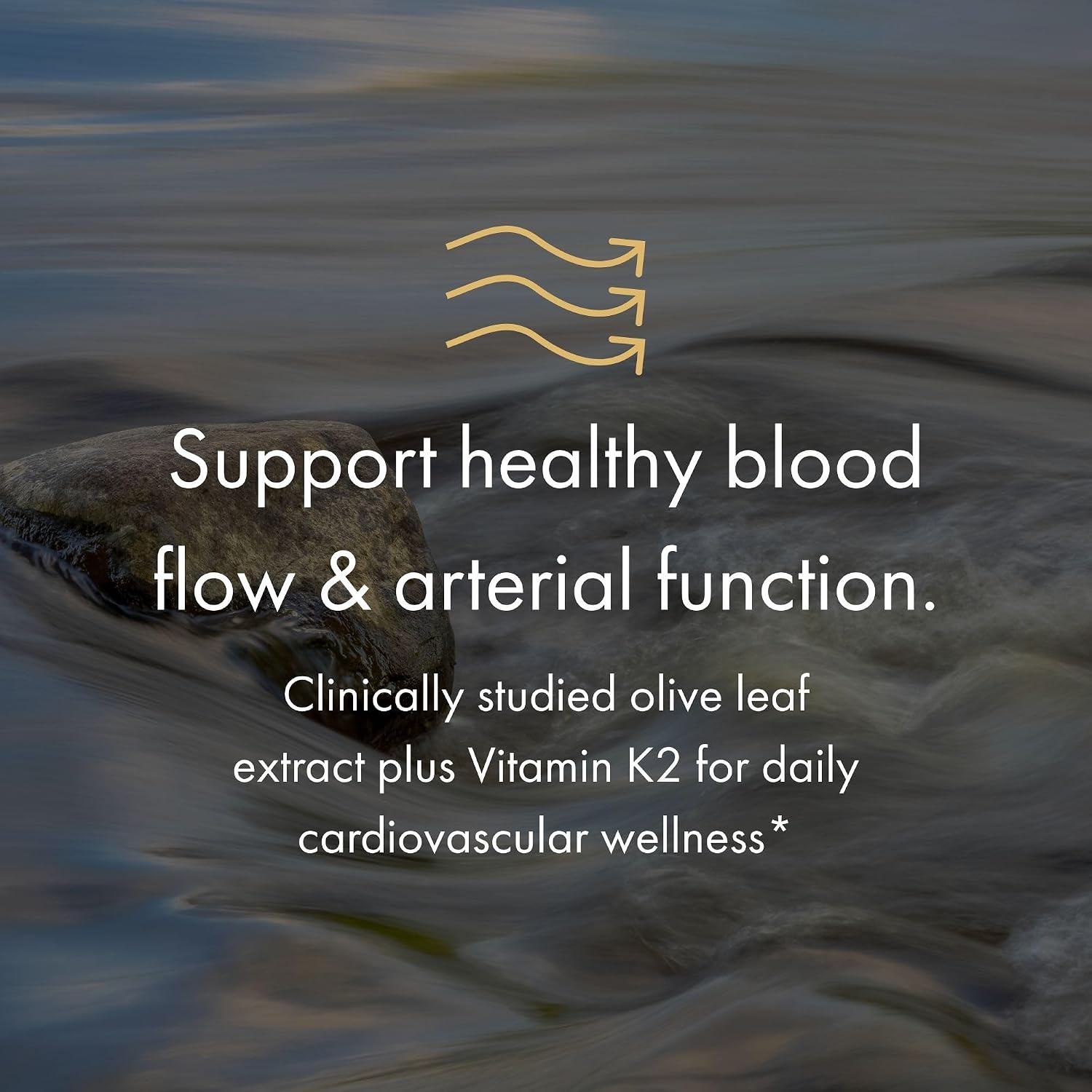 NAOMI BP Advanced - Olive Leaf Extract & Vitamin K2 for Healthy Blood Pressure & Arterial Flexibility Already in Normal Range - Patented Benolea® 1000mg + K2Vital® 180mcg, Vegan, 30-Day Supply