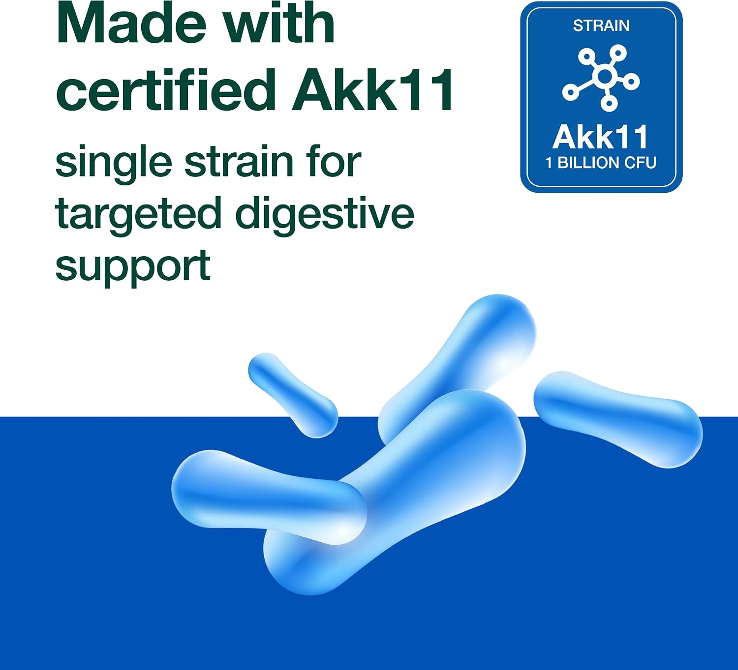 Fresh Nutrition Akkermansia Muciniphila Probiotic 1 Billion AFU for GLP-1 Production - Pre + Probiotic Supplement - 60 Capsules