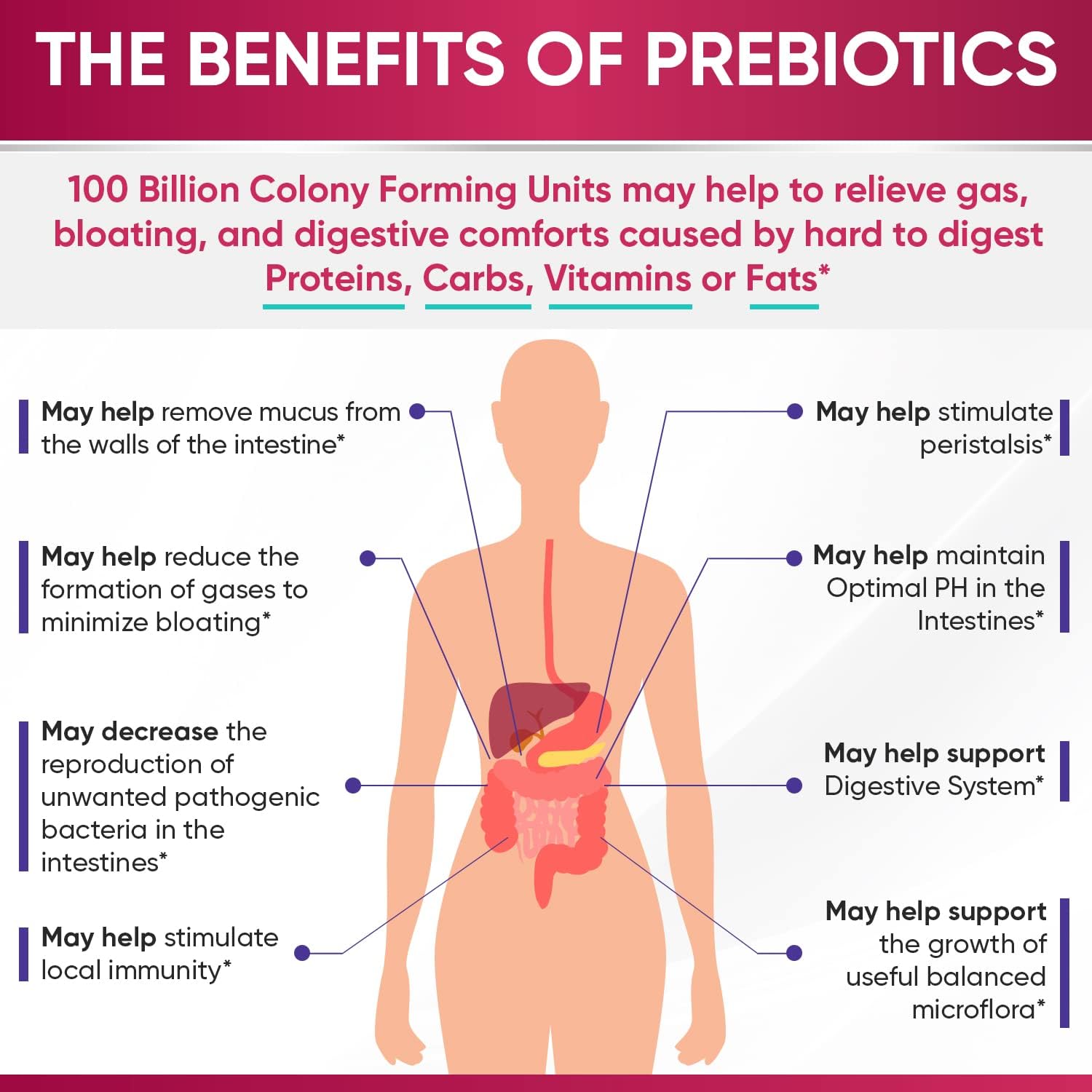 Wholesome Wellness Probiotics for Women 100 Billion CFUs with Prebiotics, Digestive Enzymes + Grass Fed Desiccated Beef Liver Capsules Bundle