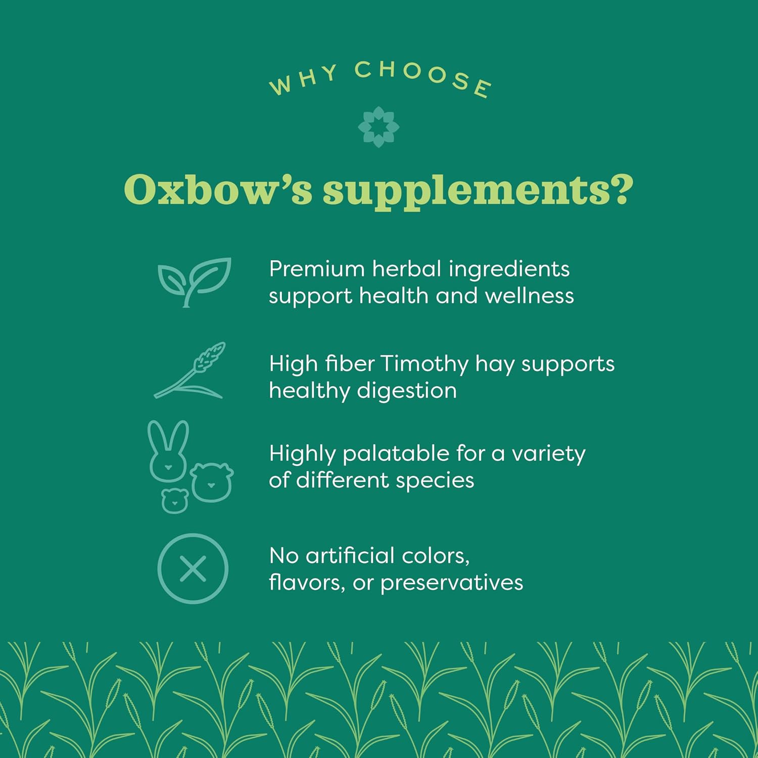 Oxbow Natural Science Joint Supplement for Rabbits & Guinea Pigs, 4.2 oz | Healthy Cat Treats, Natural Feline Snacks, Protein Rich, Crunchy Biscuits, Indoor Cats, Kitten Rewards, Made in USA