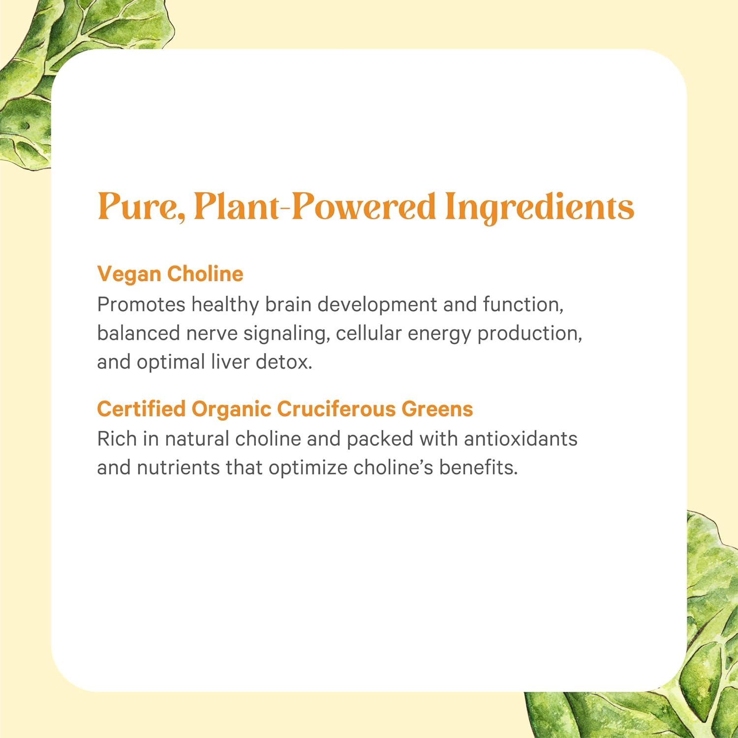 PURE SYNERGY Choline Complex | Vegan Choline Supplement Made with Organic Whole Foods | Non-GMO Bioavailable Complex | for Pregnancy, Brain, and Liver Health (60 Tablets)