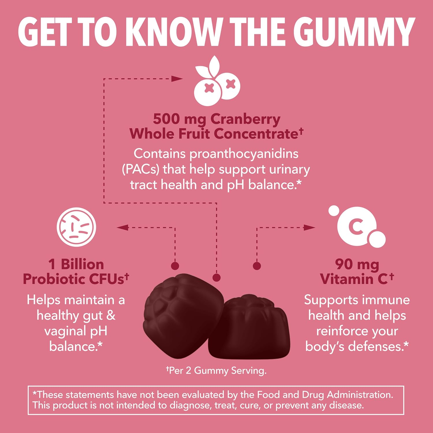 Cranberry Probiotic Gummies, Cran-Raspberry, 60ct, Bladder Support | Probiotic Cranberry Gummies for Women, Urinary Tract Health & pH Balance, 1 Billion CFU of Lactobacillus, Vaginal Wellness