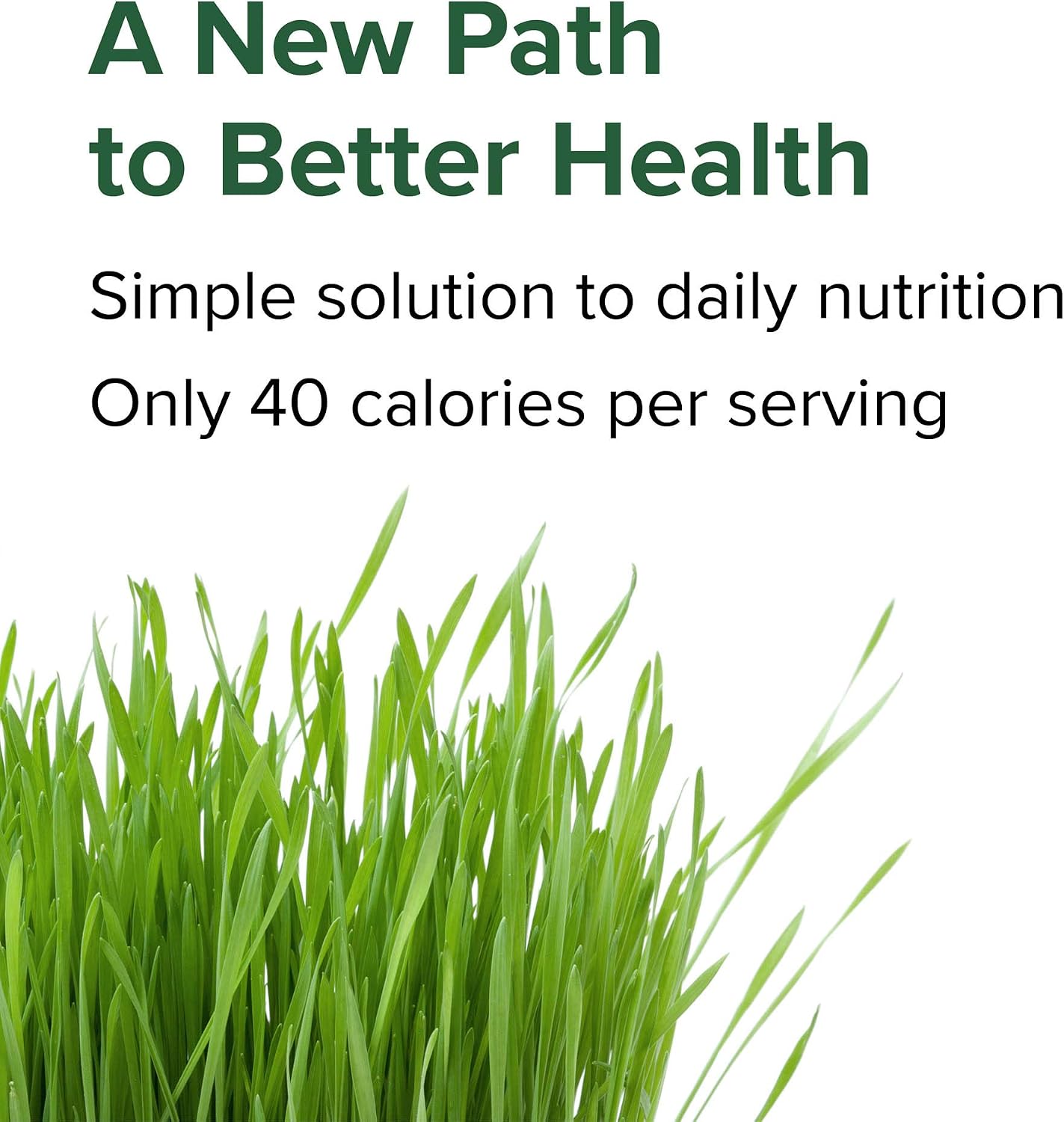 Vibrant Health, Green Vibrance, Vegan Superfood Pills, 240 Count (Pack of 1)