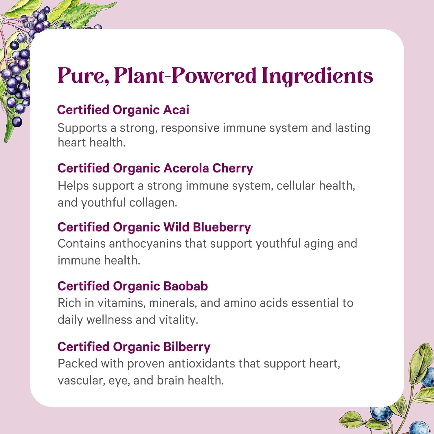 PURE SYNERGY Berry Power | Organic Berry and Fruit Powder | Antioxidant Supplement with Organic Acai, Acerola, and Wild Blueberry | for Healthy Aging, Immune, and Skin Support (5.3 oz Powder)