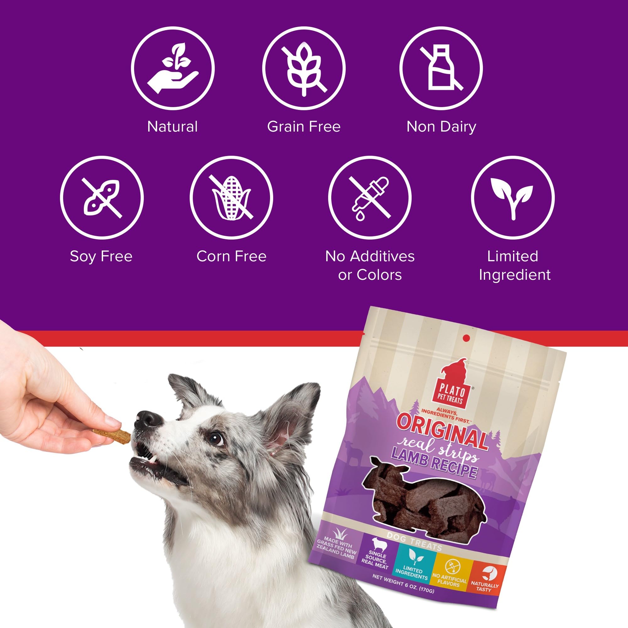 Plato Real Strips Salmon Recipe Dog Treats, Air-Dried High-Protein Soft Strips, Omega-Rich Skin & Coat Support, 18 oz