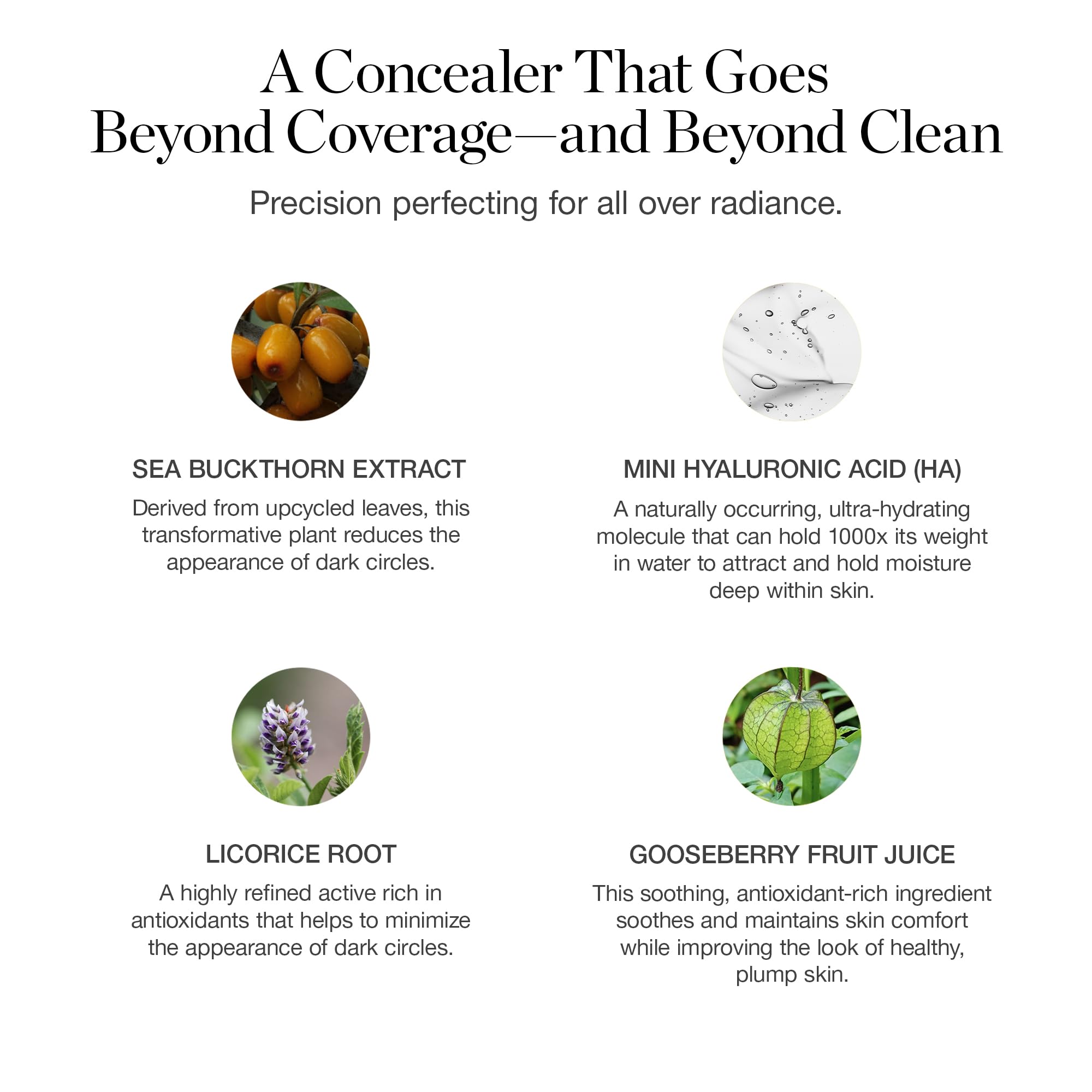 Ogee Complexion Perfecting Under Eye Concealer - Certified Organic Full Coverage Concealer - Buildable Coverage - OSIER 1.75W - Light Medium (Olive Undertones) OgeeBuy Supplements Australia