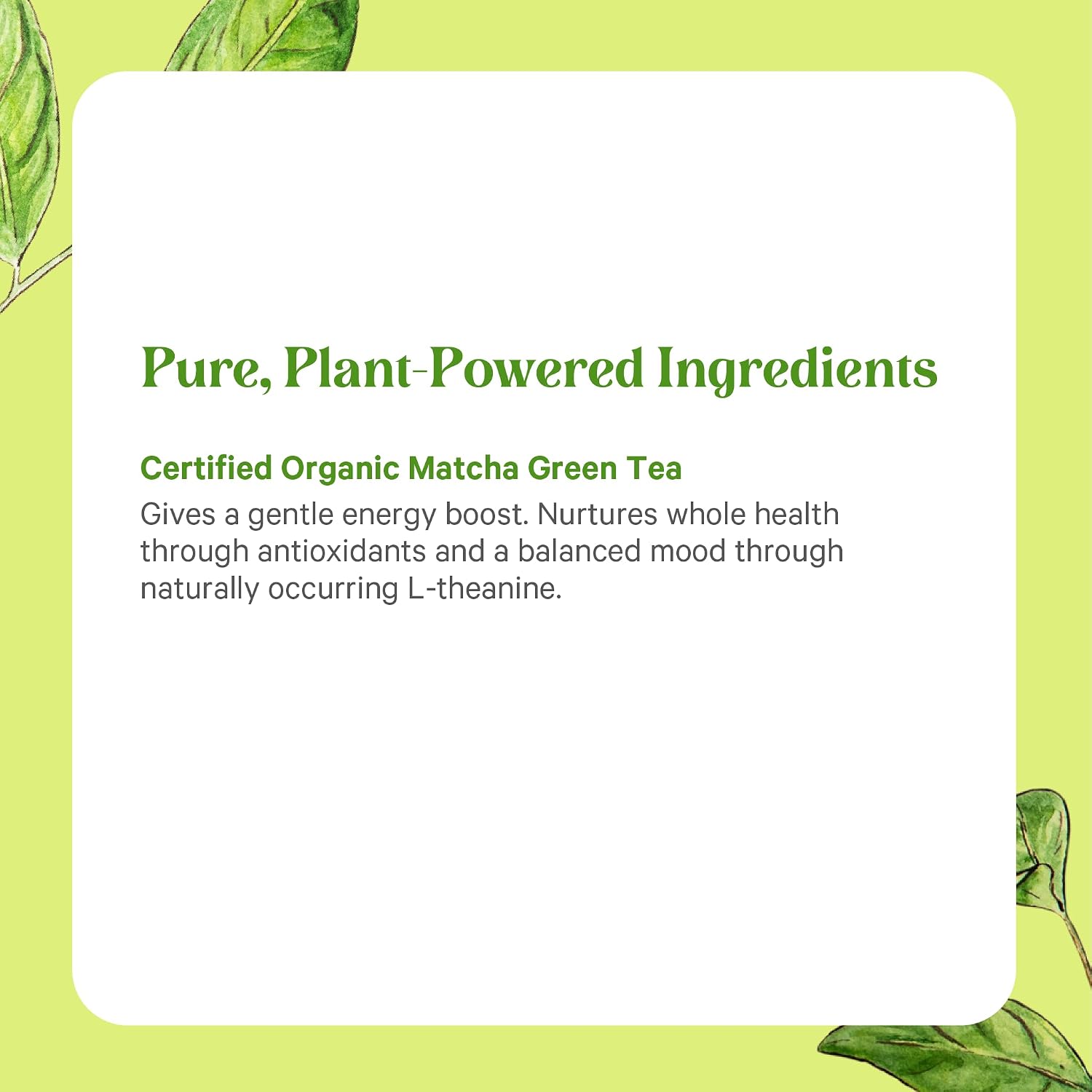 PURE SYNERGY Matcha Power | Organic Matcha Powder | Ceremonial Grade Japanese Green Tea Powder | For Enhanced Energy & Alertness (2.1 oz)