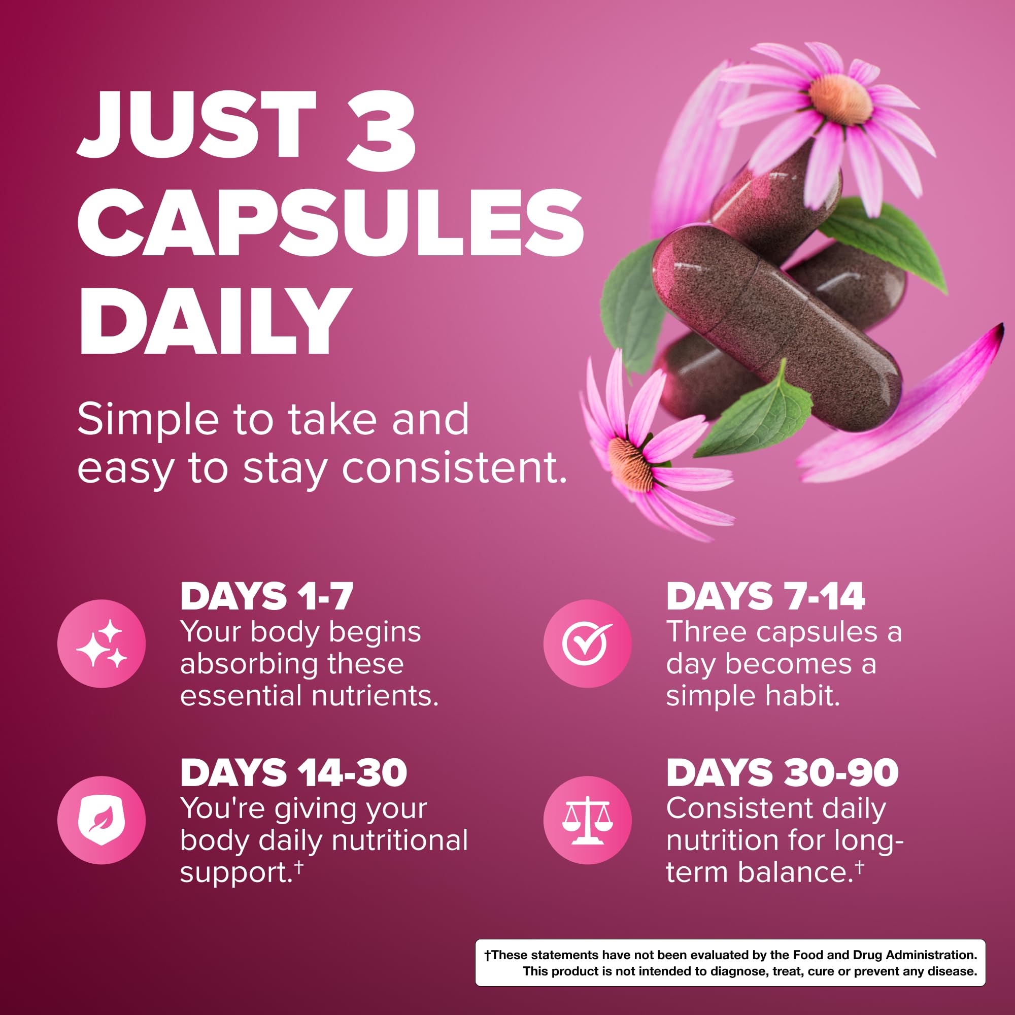 Rosabella Elderberry, Zinc & Vitamin D3 Capsules – Elderberry Supplement with Echinacea, Vitamin C & Zinc, Immune Support Supplement for Daily Wellness, Vegan Capsules – 90 Count (Pack of 1)